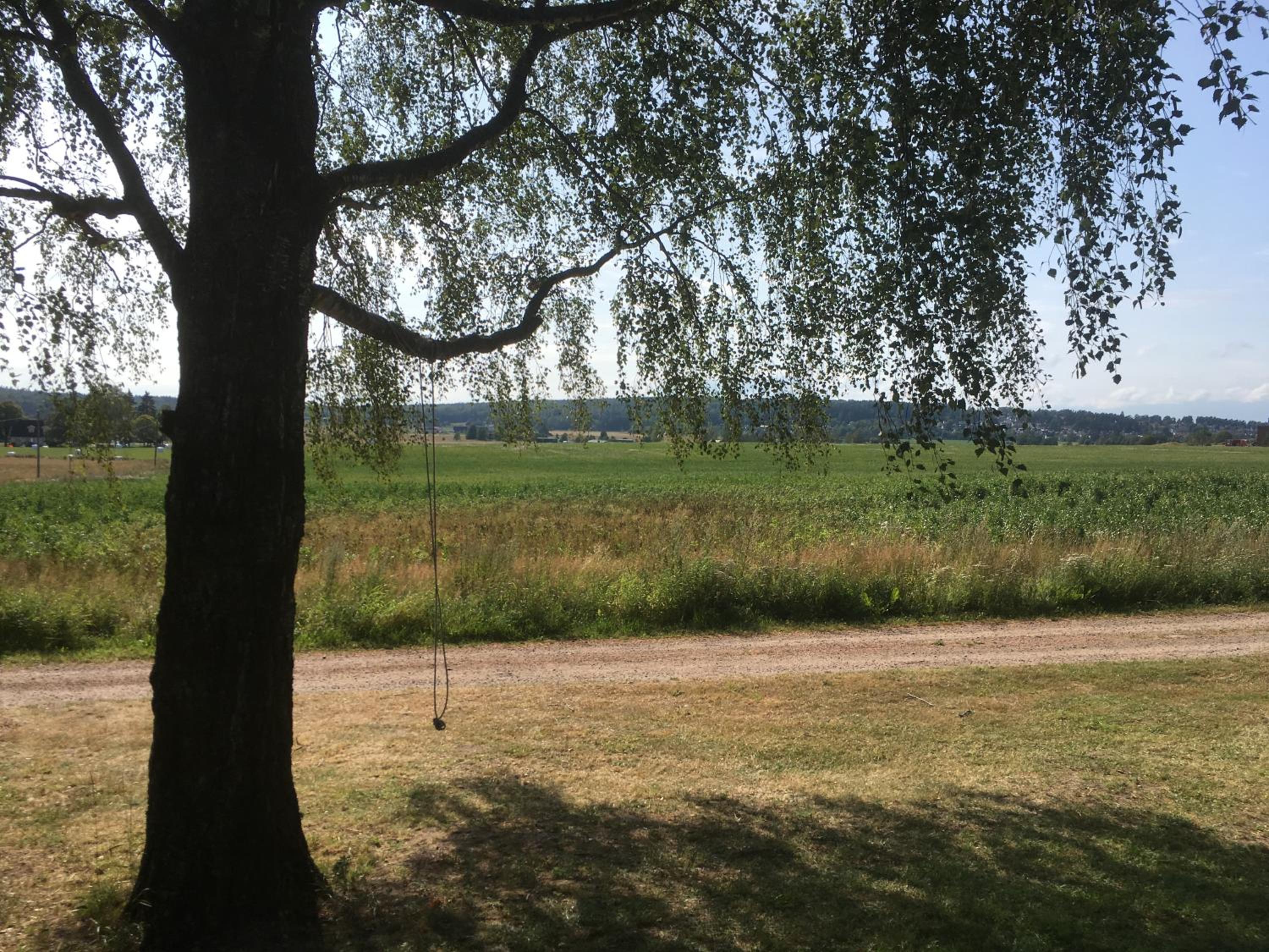 Photo 46