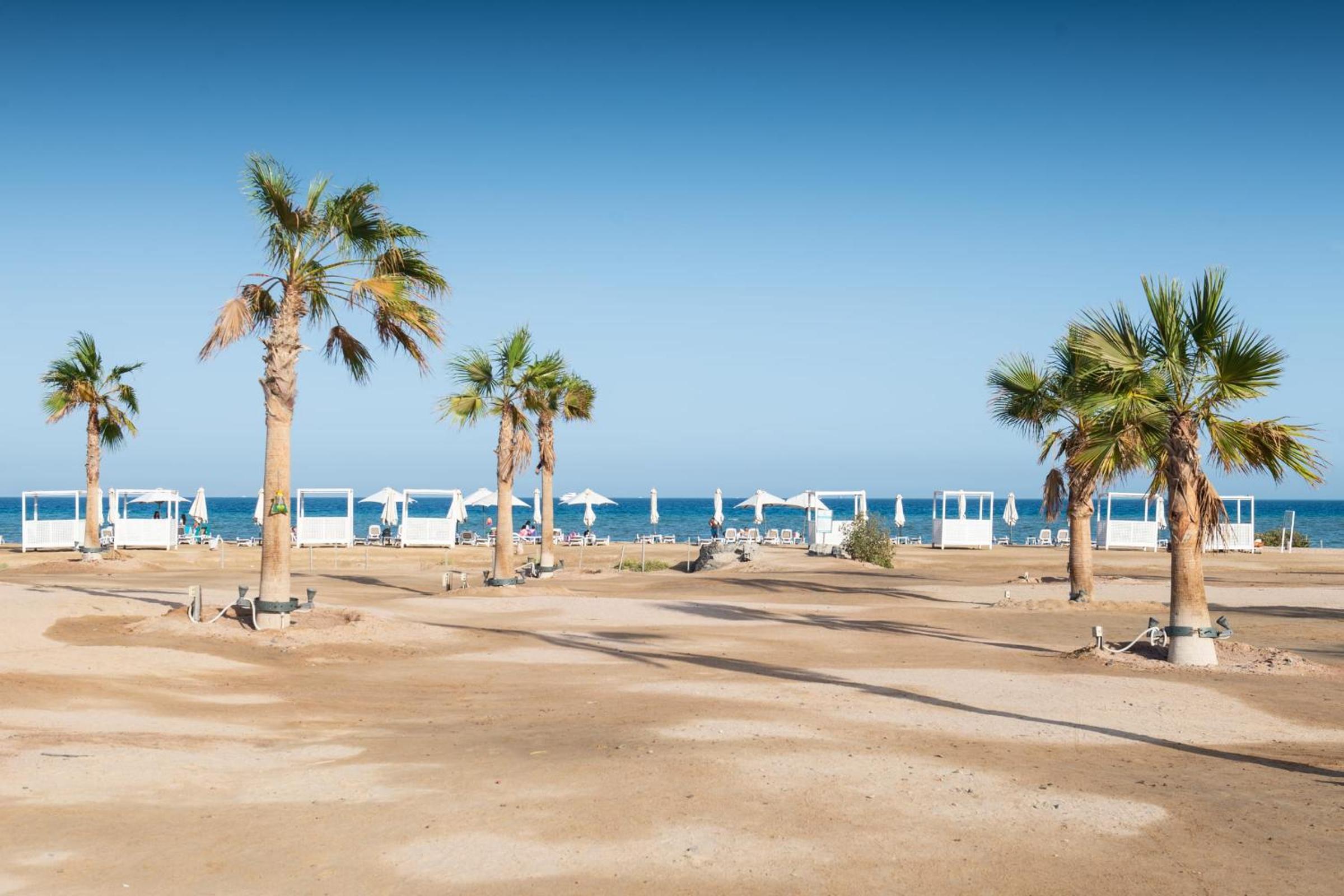 Dazzling 2 BDR w Rooftop Mangroovy Free Pool & Beach Access