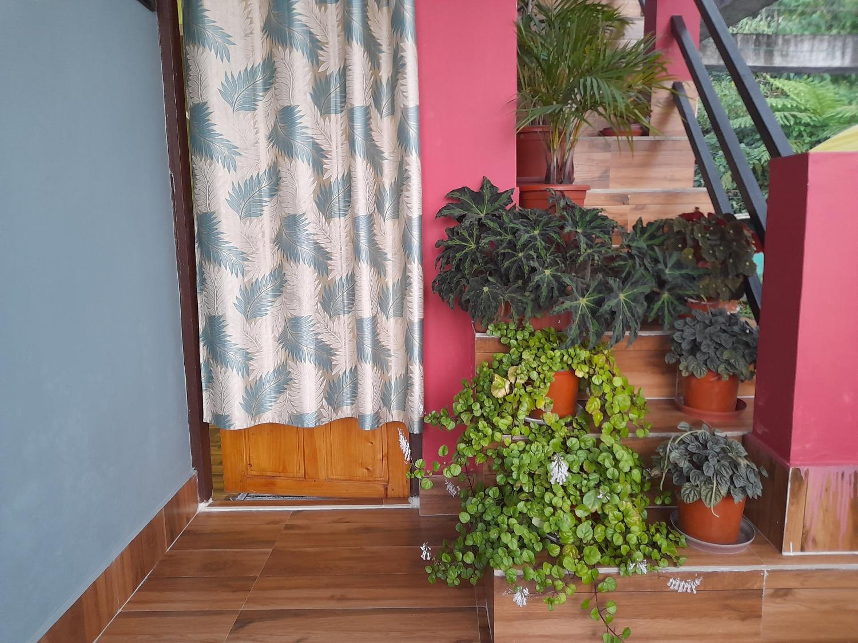 Pahar E Satyajit Homestay Ramdhura
