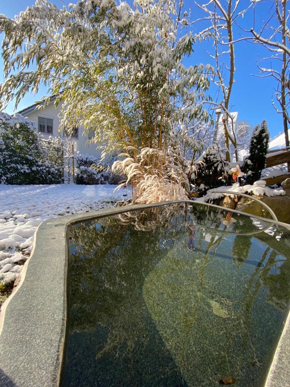 Pia's Nature Retreat