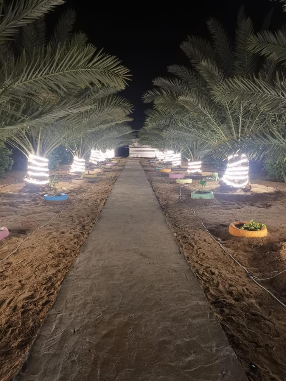 Almazham camp resort