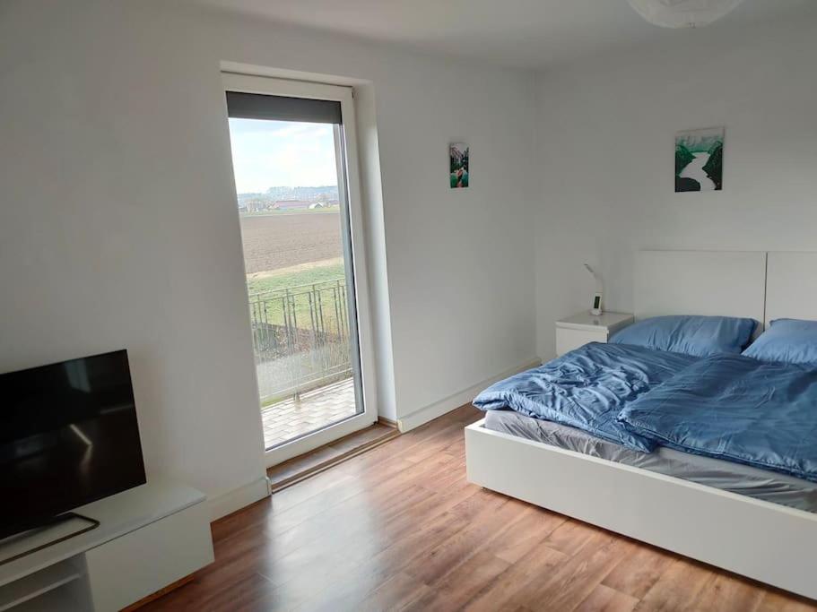 Ferienwohnung ländlich und in Seenähe