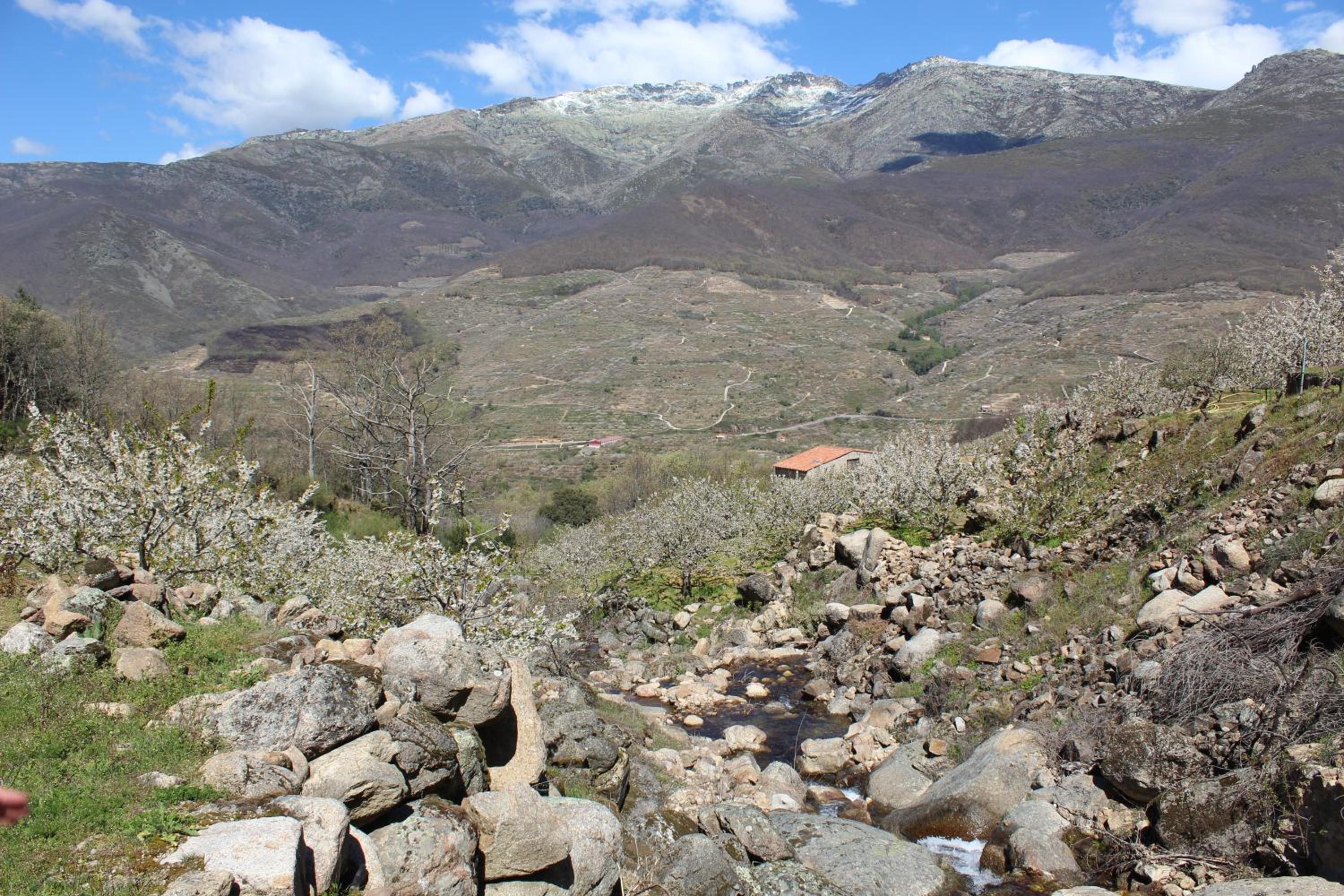 Photo 32