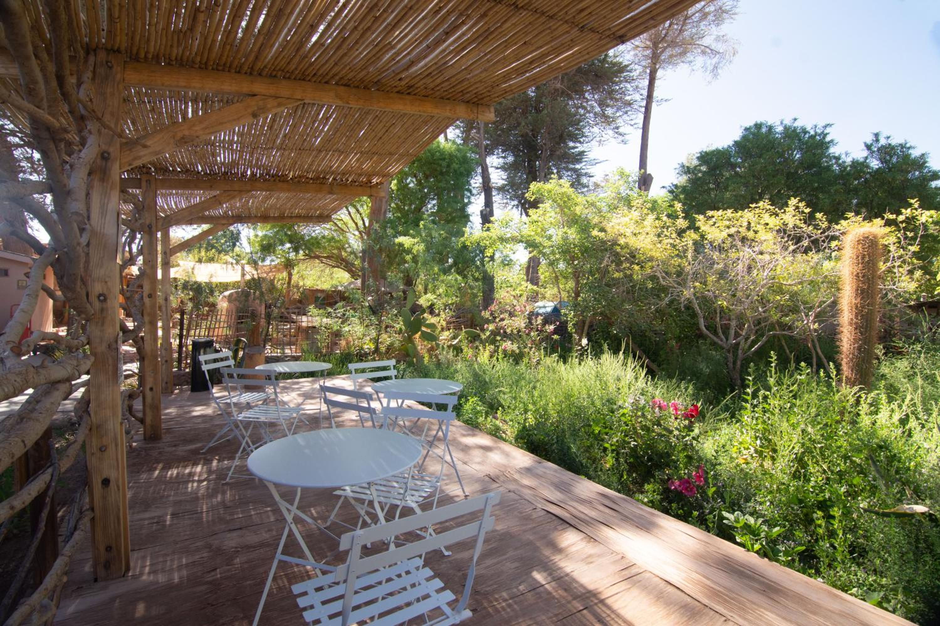 Hotel-Camping Takha Takha