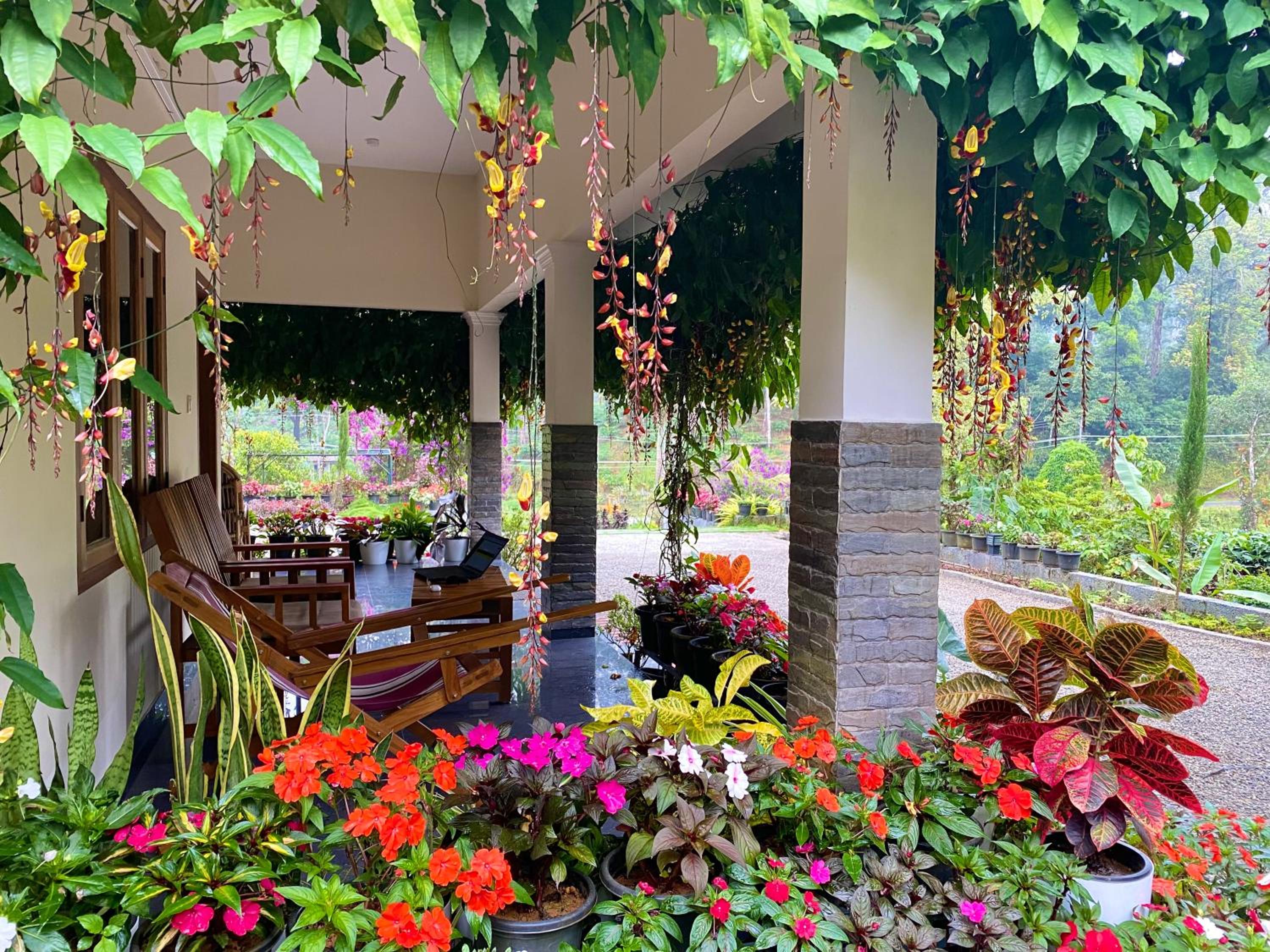 Flower Valley Plantation Homestay view 5