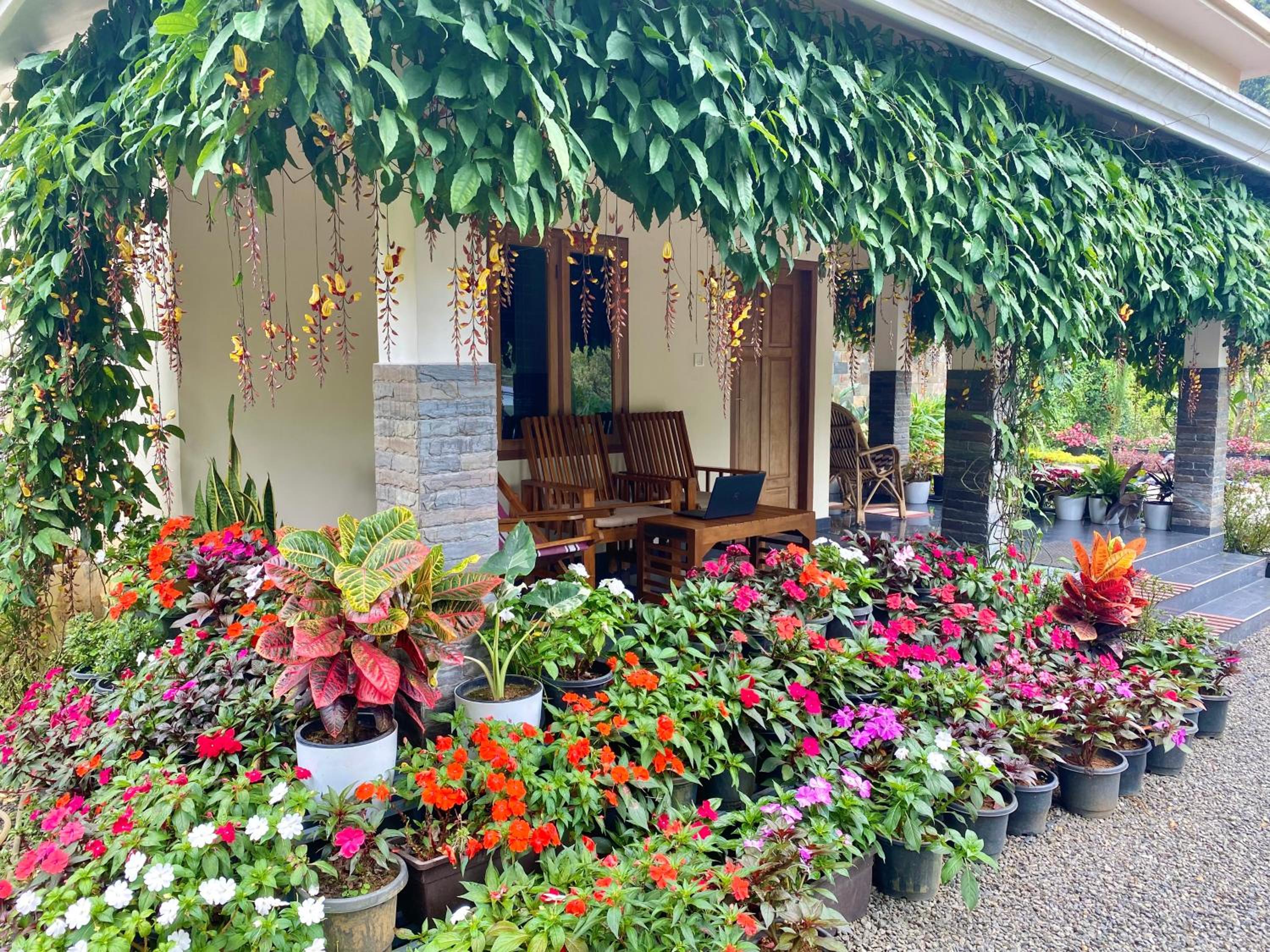 Flower Valley Plantation Homestay view 2