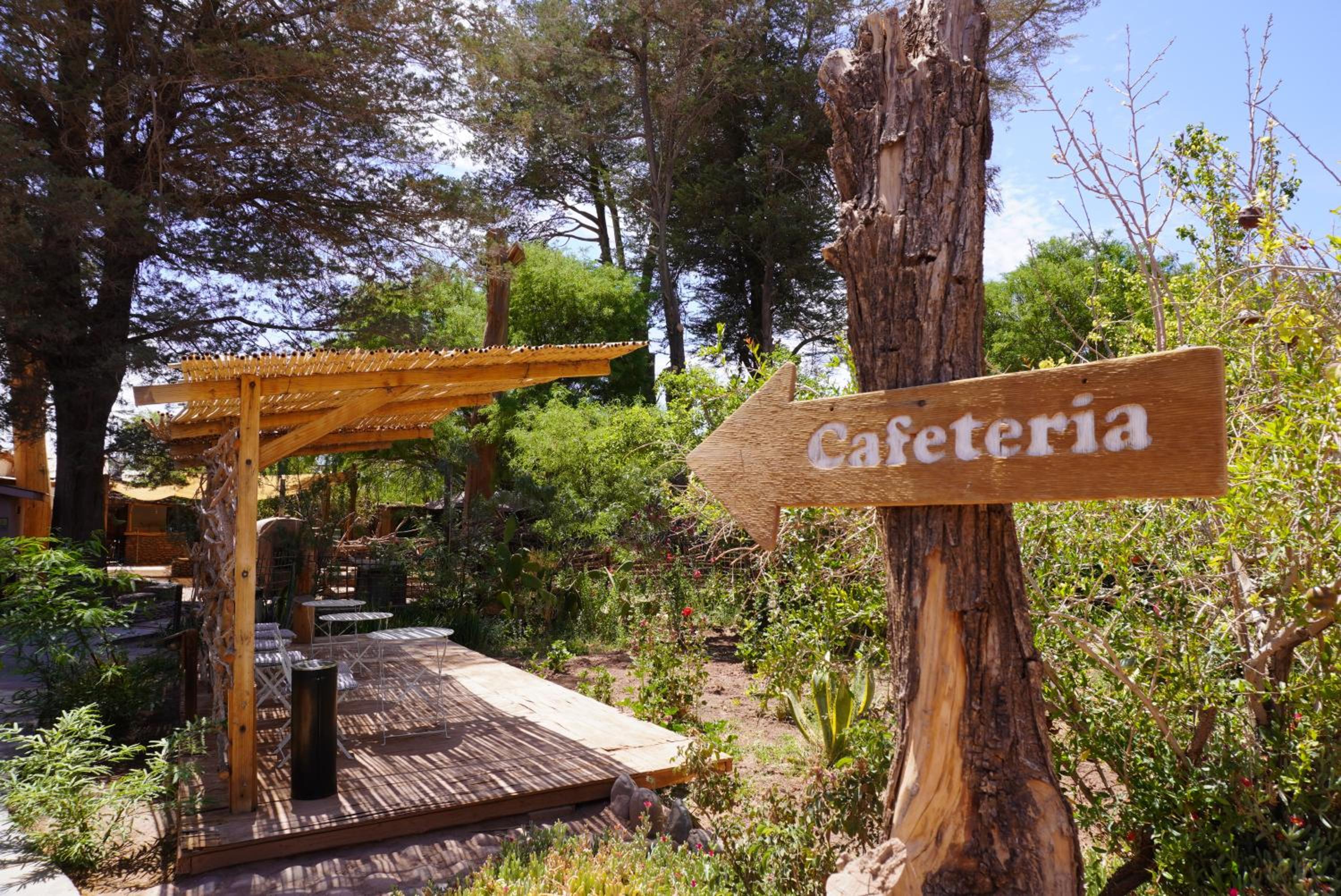 Hotel-Camping Takha Takha