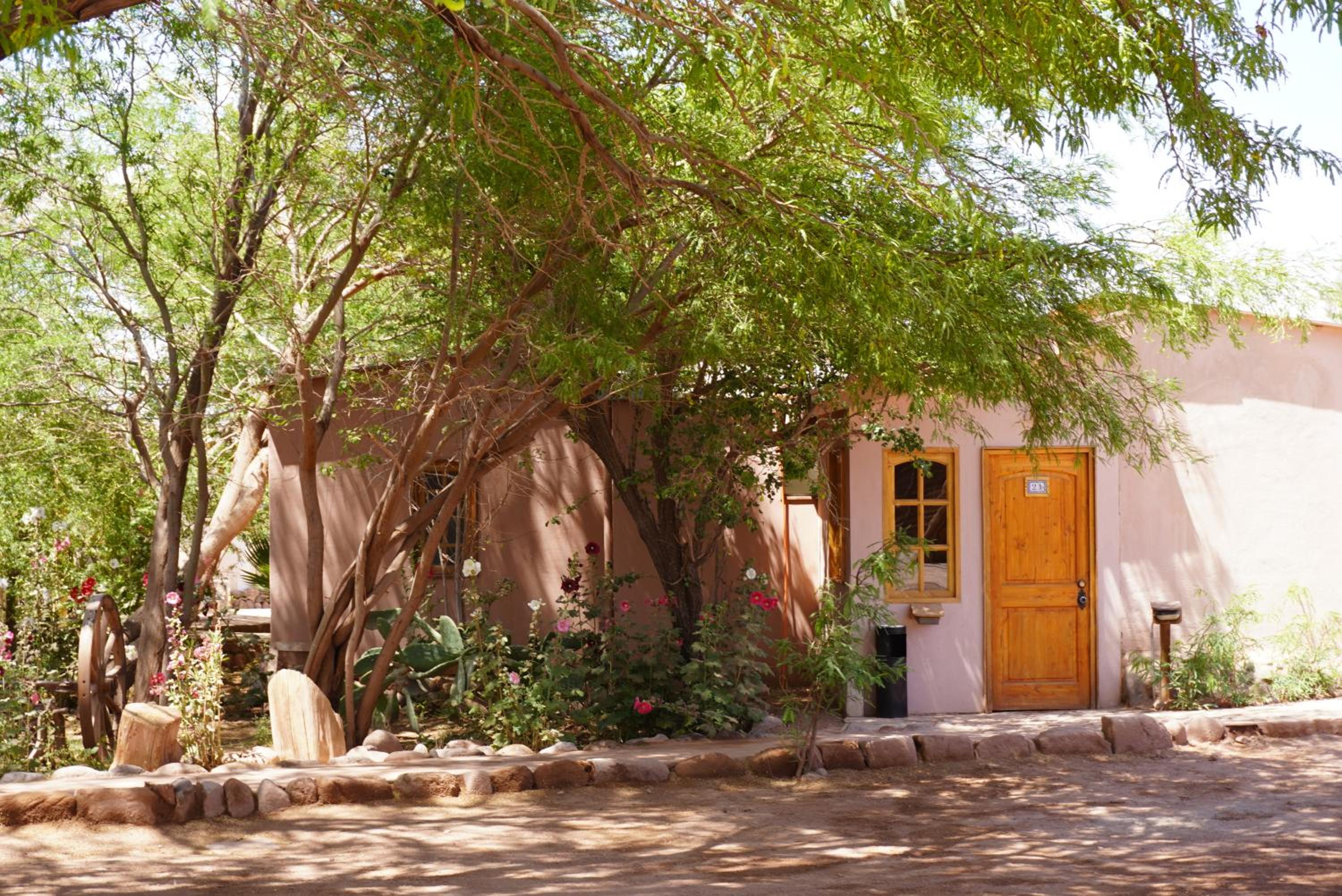 Hotel-Camping Takha Takha