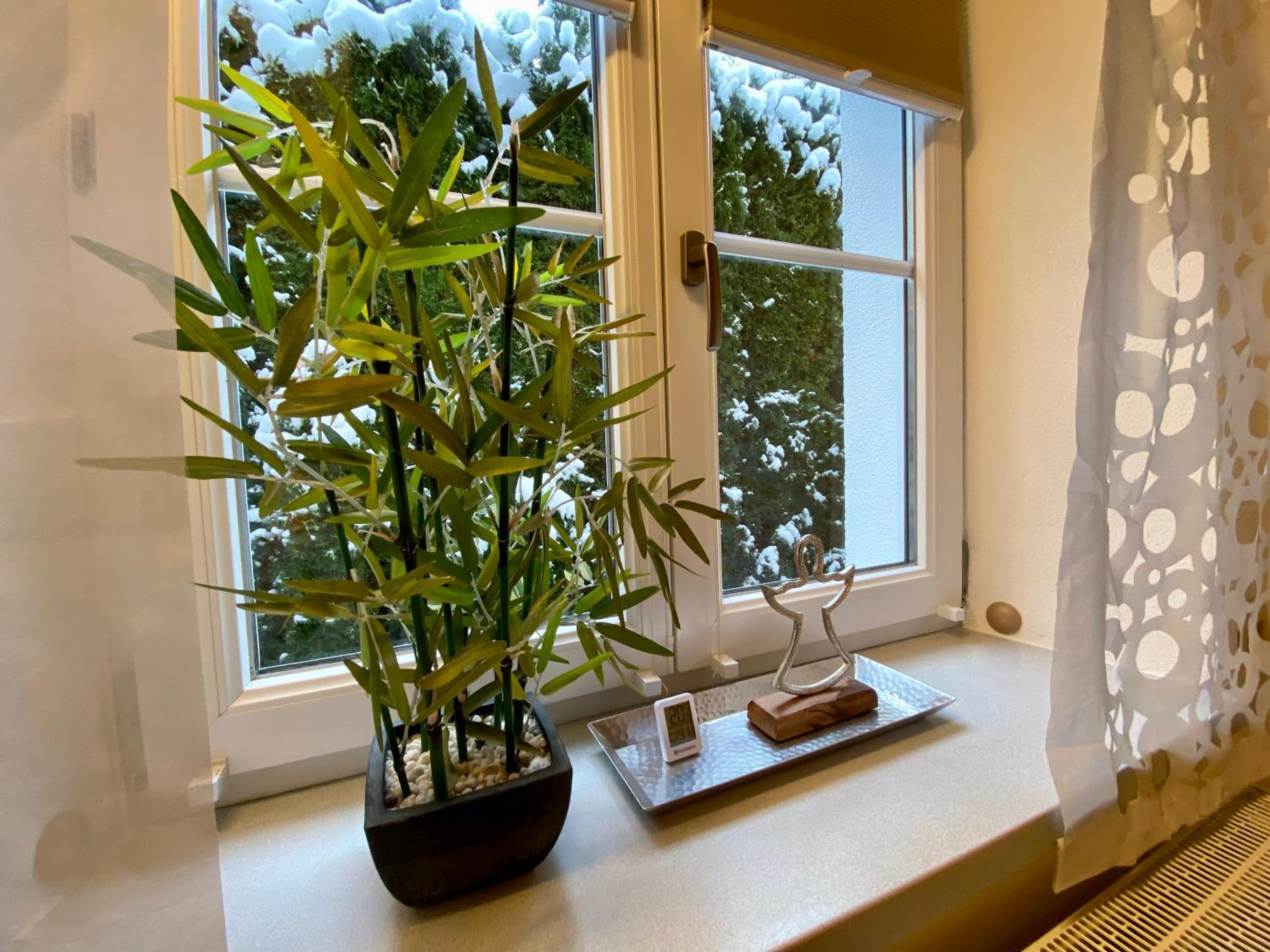 Ferienwohnung an der idyllischen Salzachschleife Nähe Salzburg view 4
