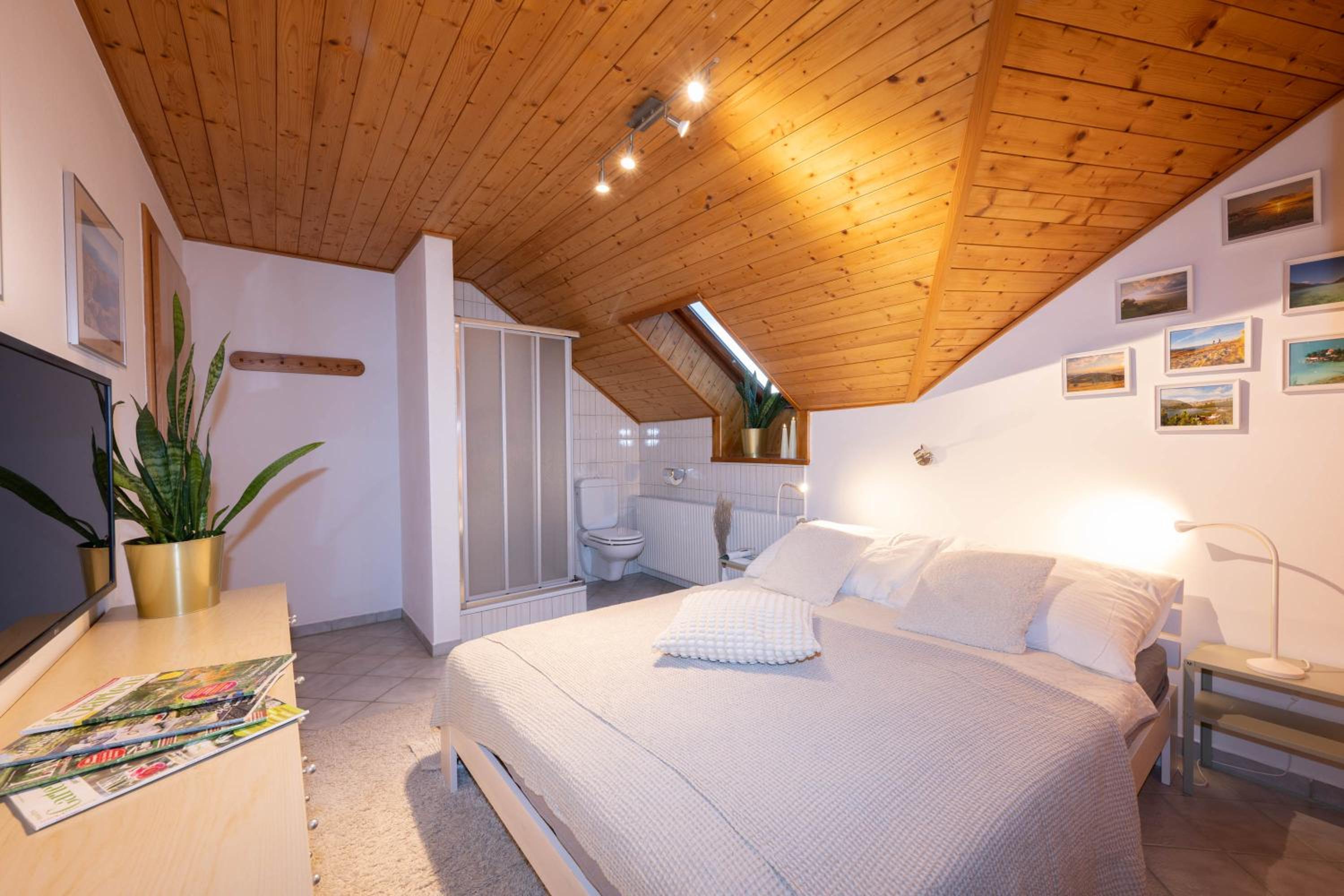 Landhaus Wulfenia - APARTMENT KLAGENFURT - Private Sauna, Smart-TV, Air Conditioning, Free Parking