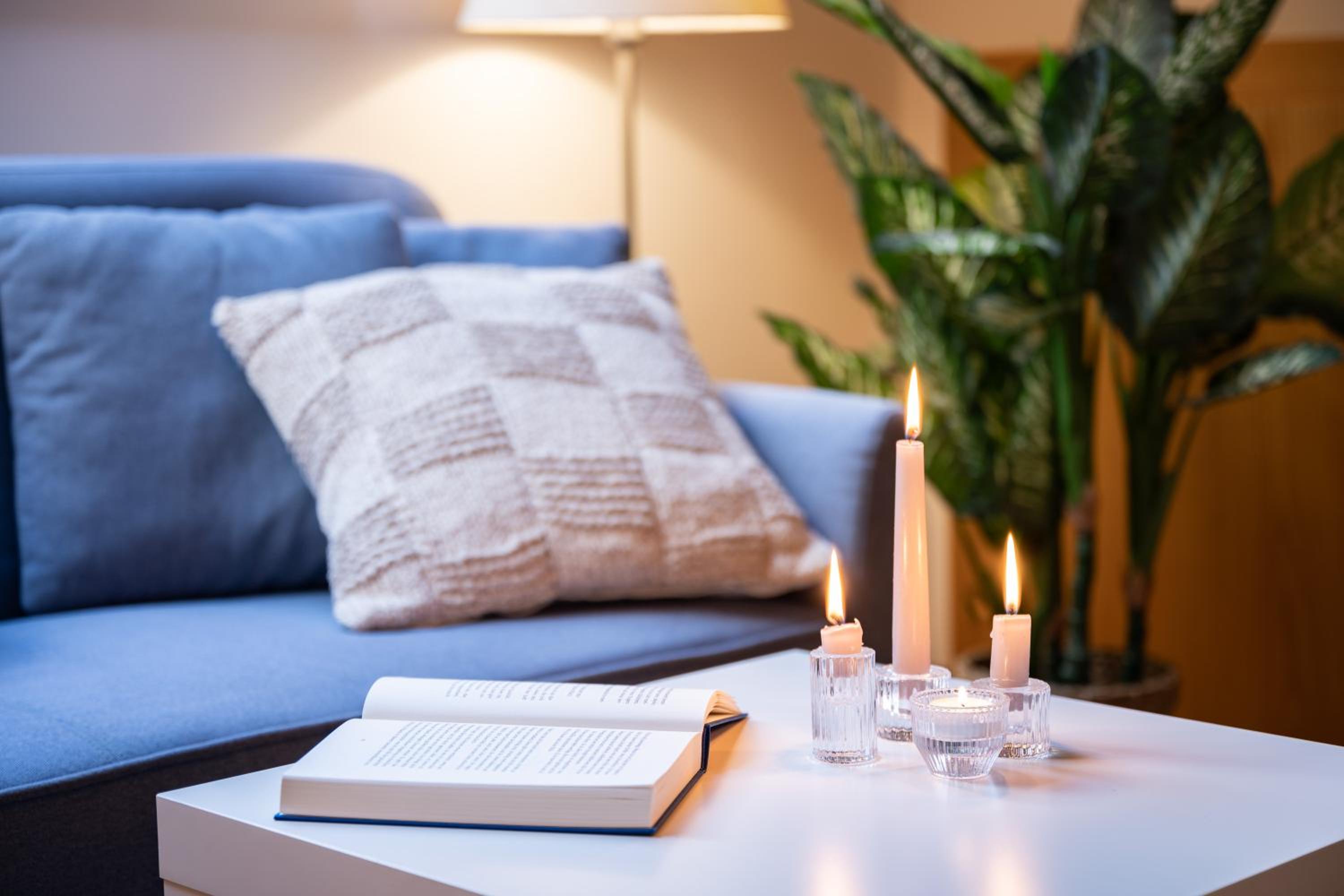 Landhaus Wulfenia - APARTMENT KLAGENFURT - Private Sauna, Smart-TV, Air Conditioning, Free Parking