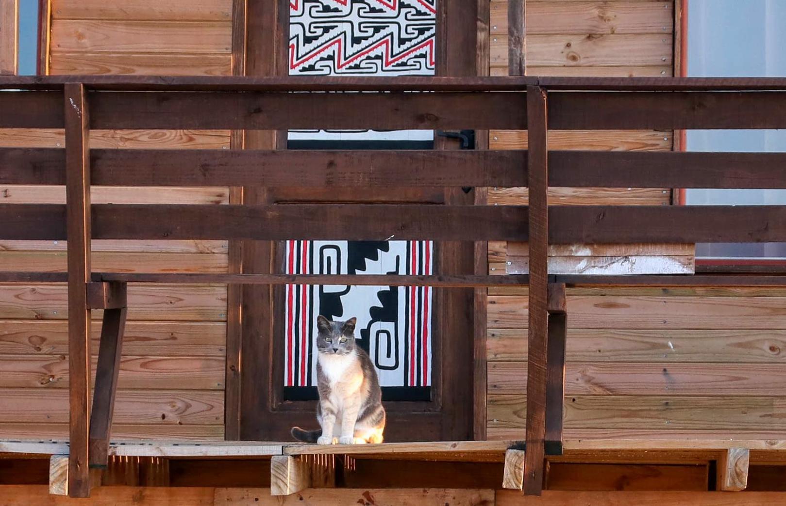 Ocho Aguilas Eco Lodge