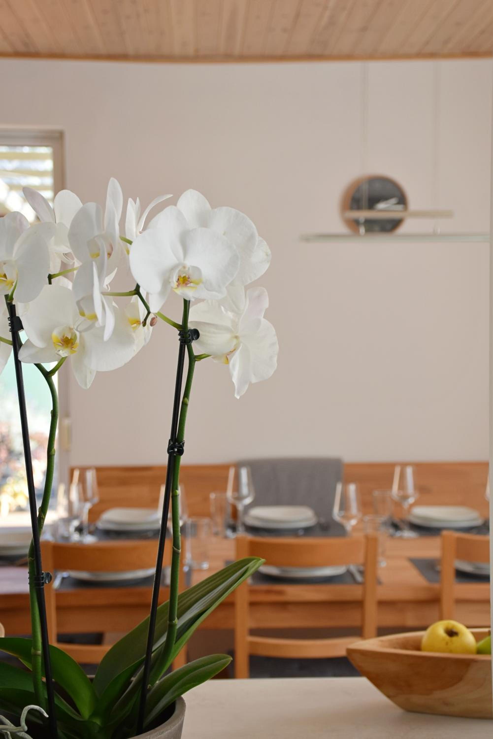 Holiday Home Znojmo w/ Wellness & Wine