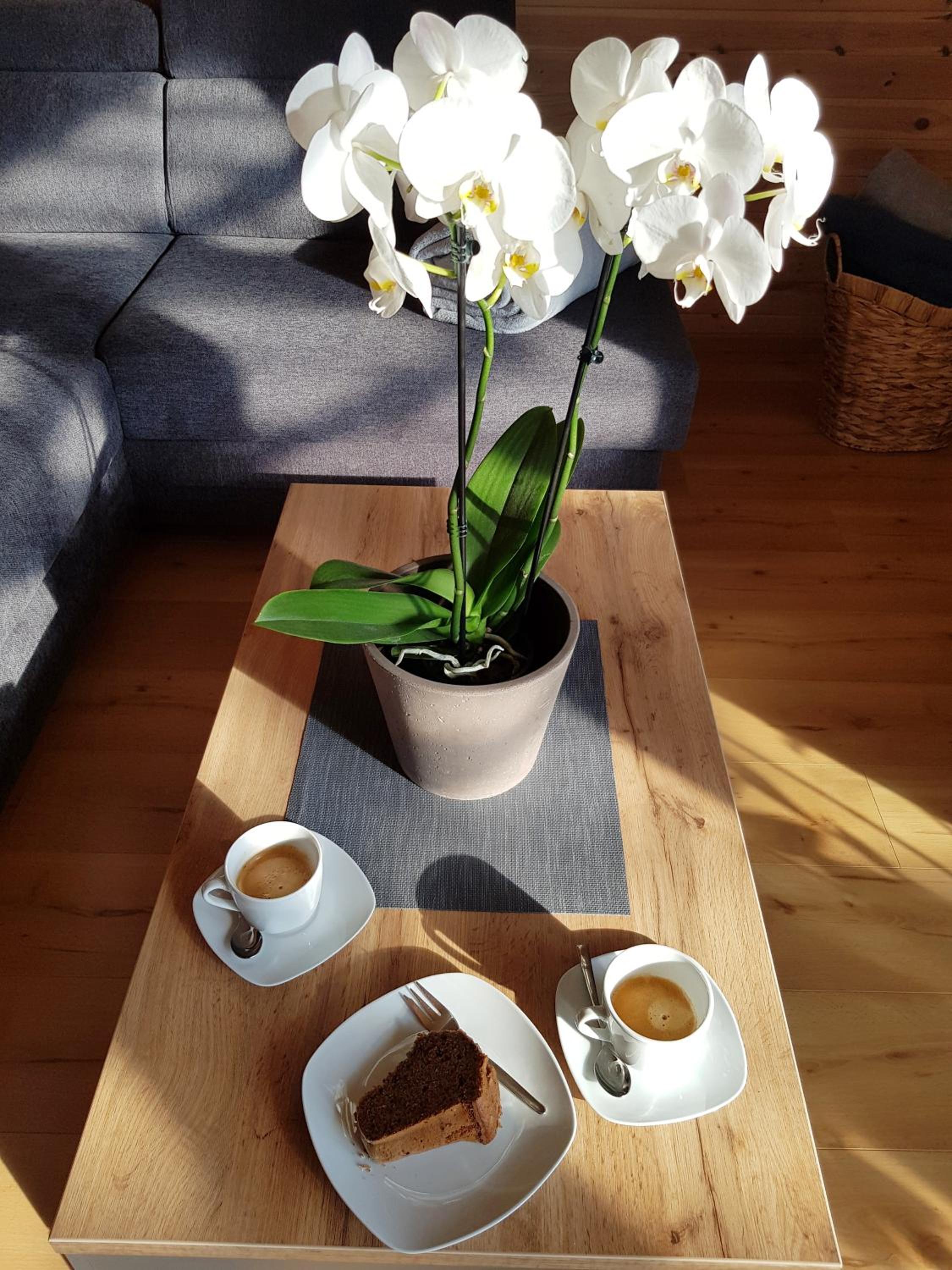 Holiday Home Znojmo w/ Wellness & Wine