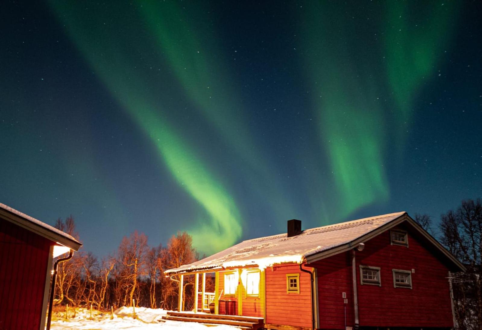 Trivelig hytte i Senja. view 4