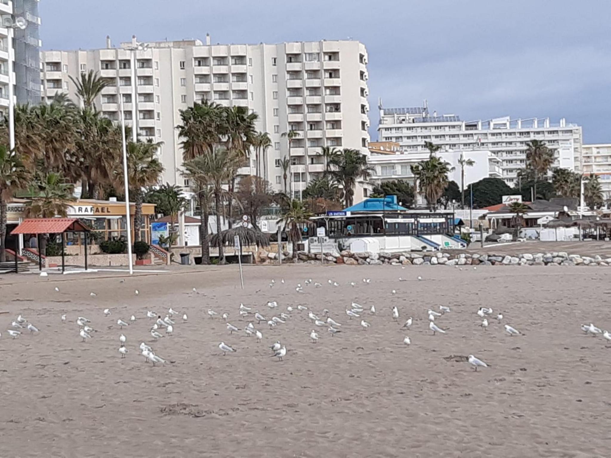 Flamingo Sol Home