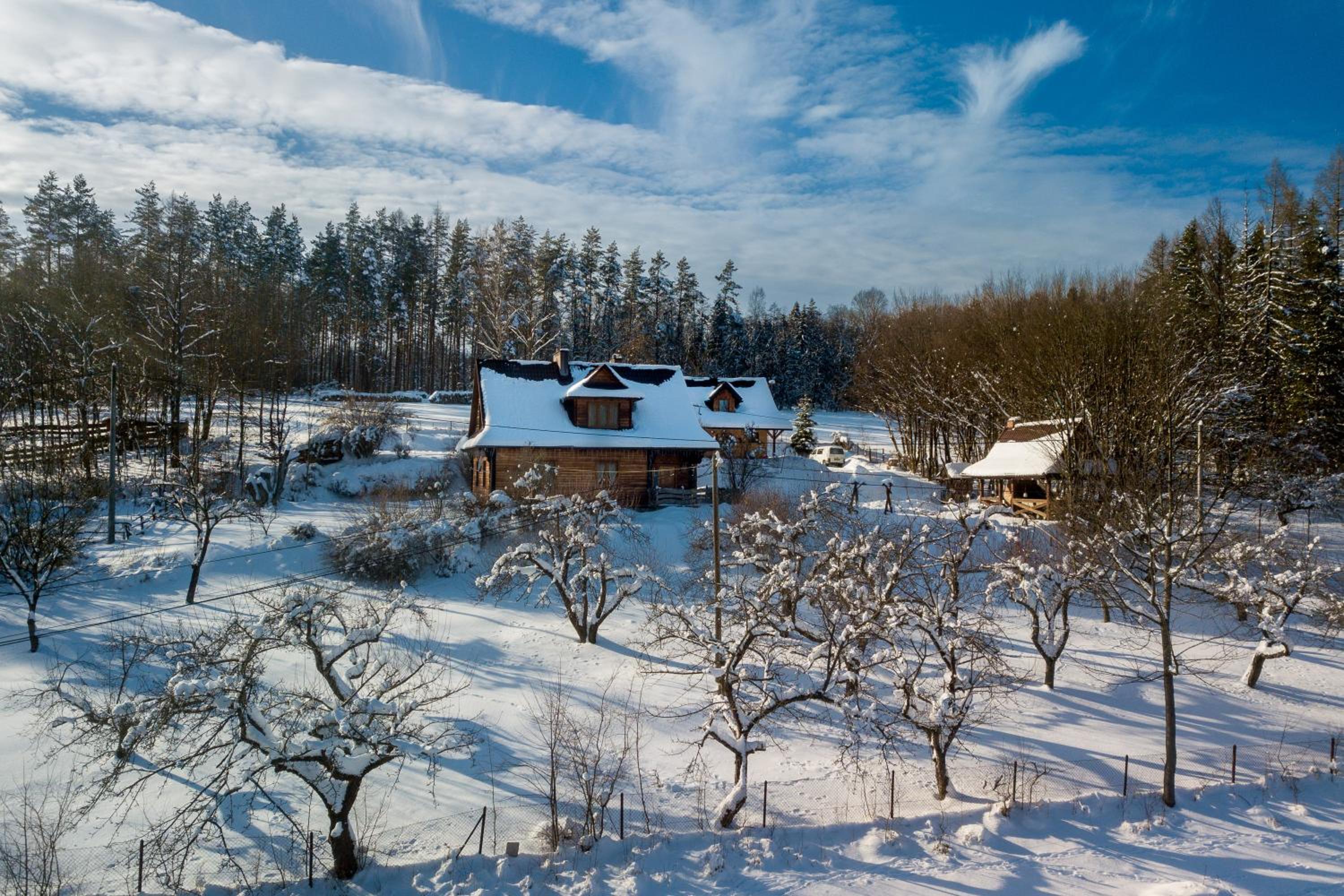 Photo 44