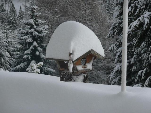 Café- Pension Fernblick, incl MeineCardPlus