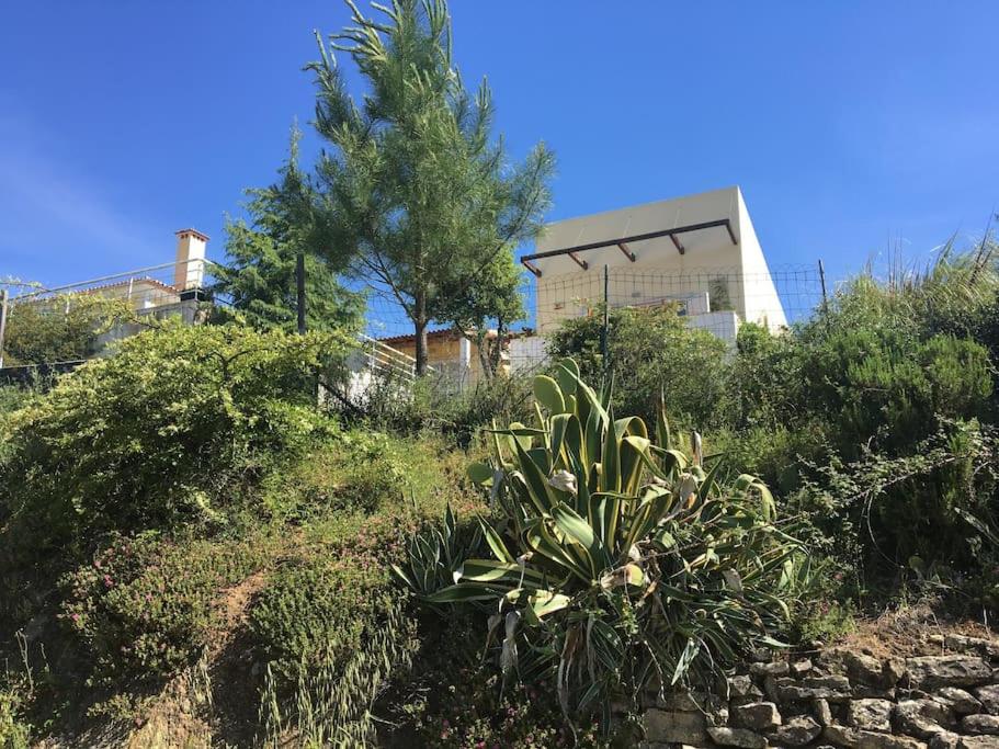 A Casa da Lua