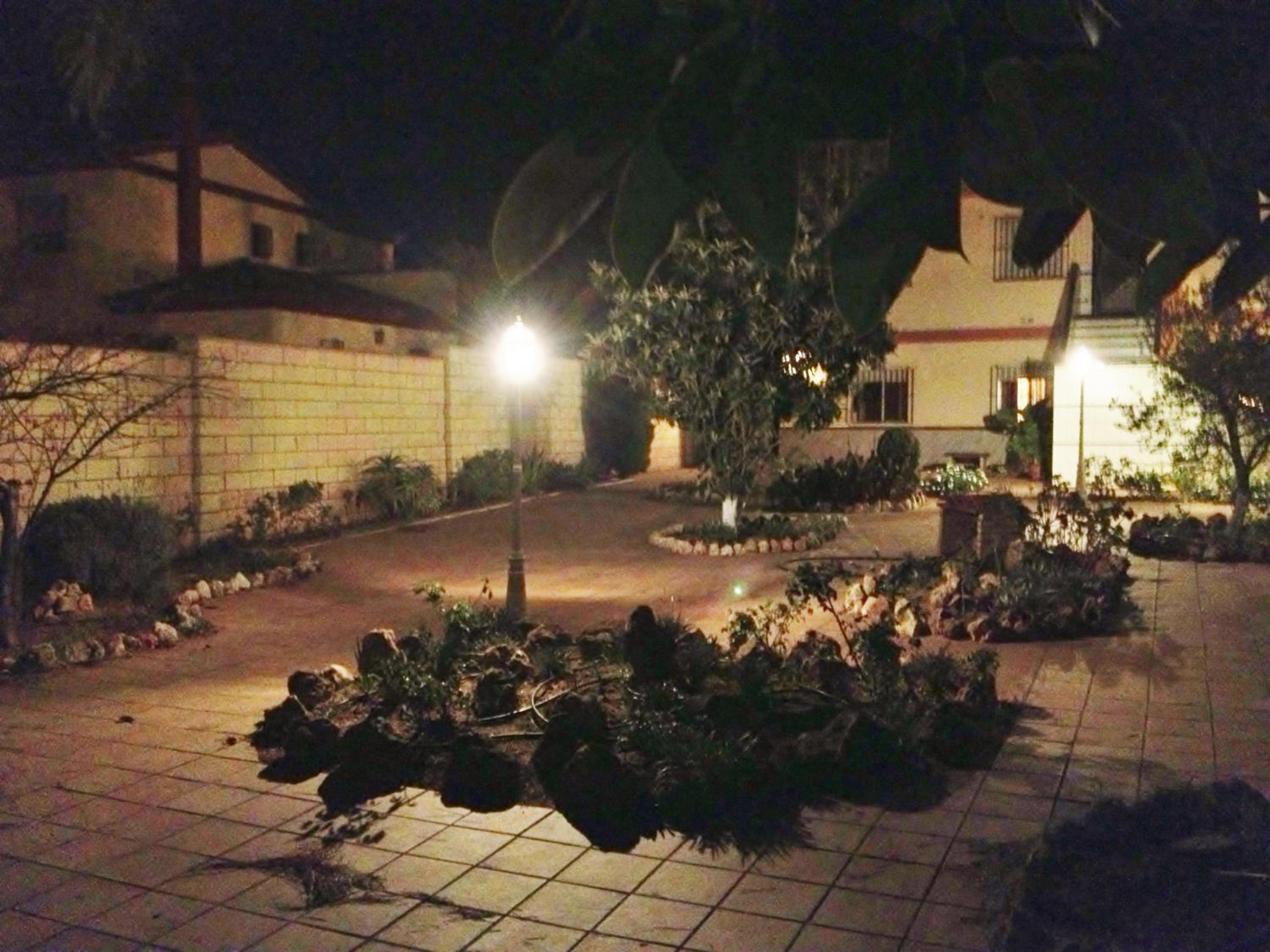 Photo 39