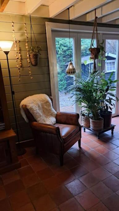 comfortable chalet in a unique location in forest
