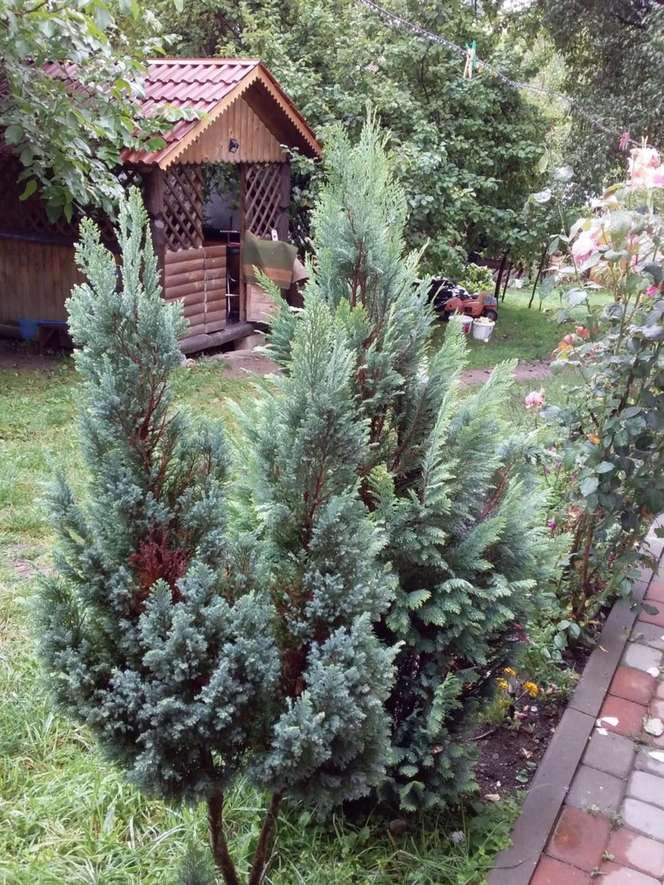 Photo 24