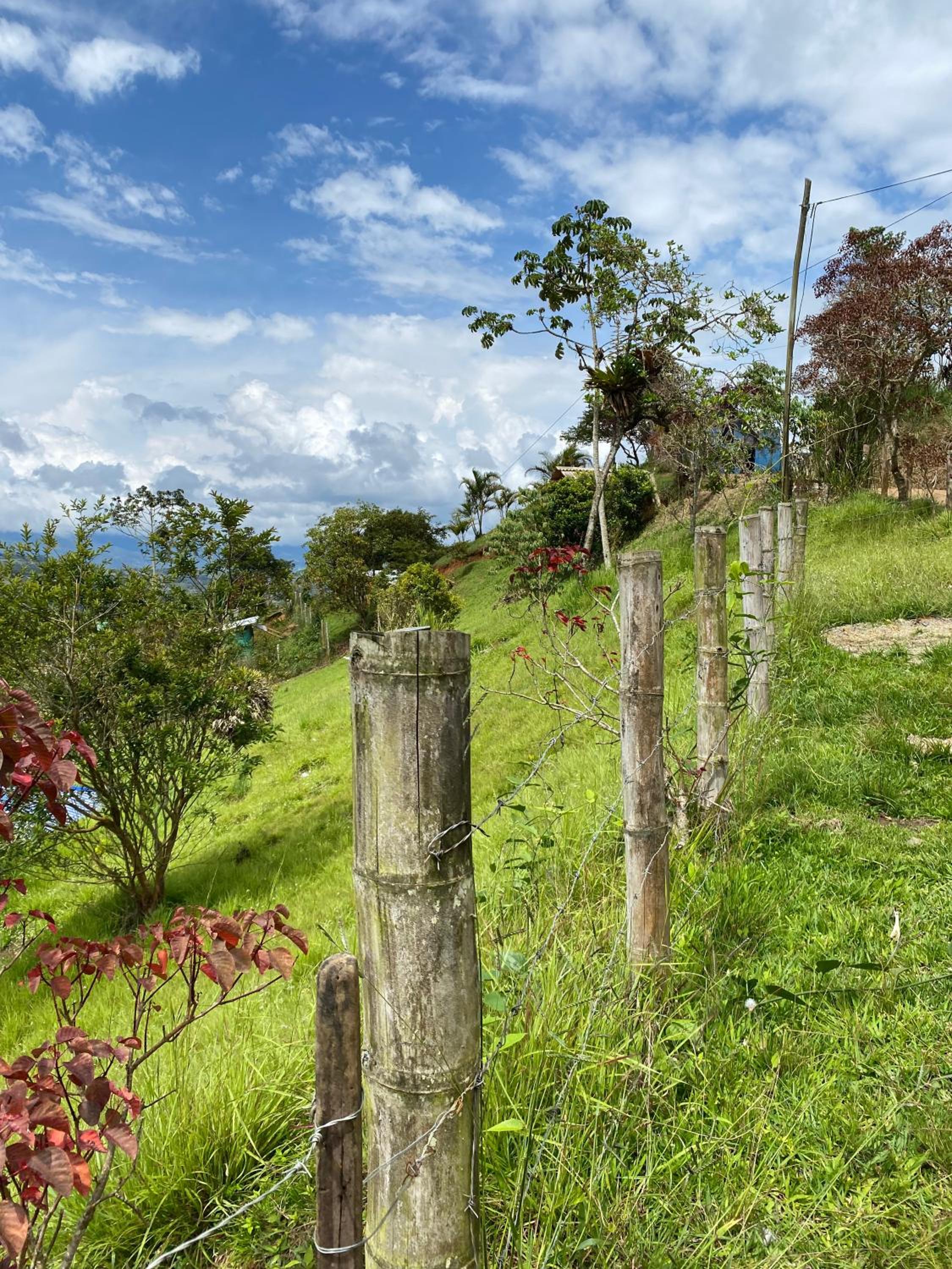 Finca Hermosa Vista
