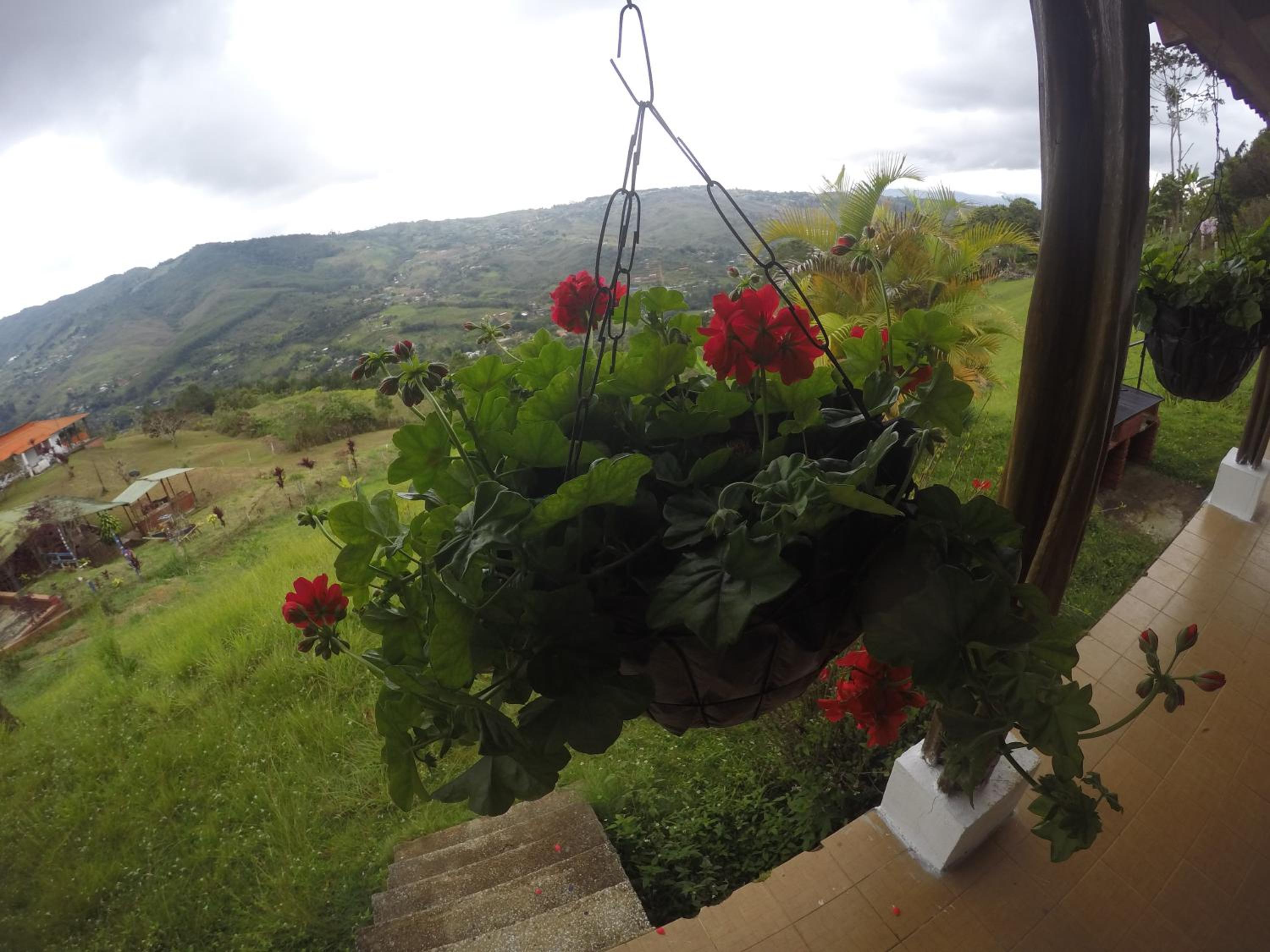 Finca Hermosa Vista