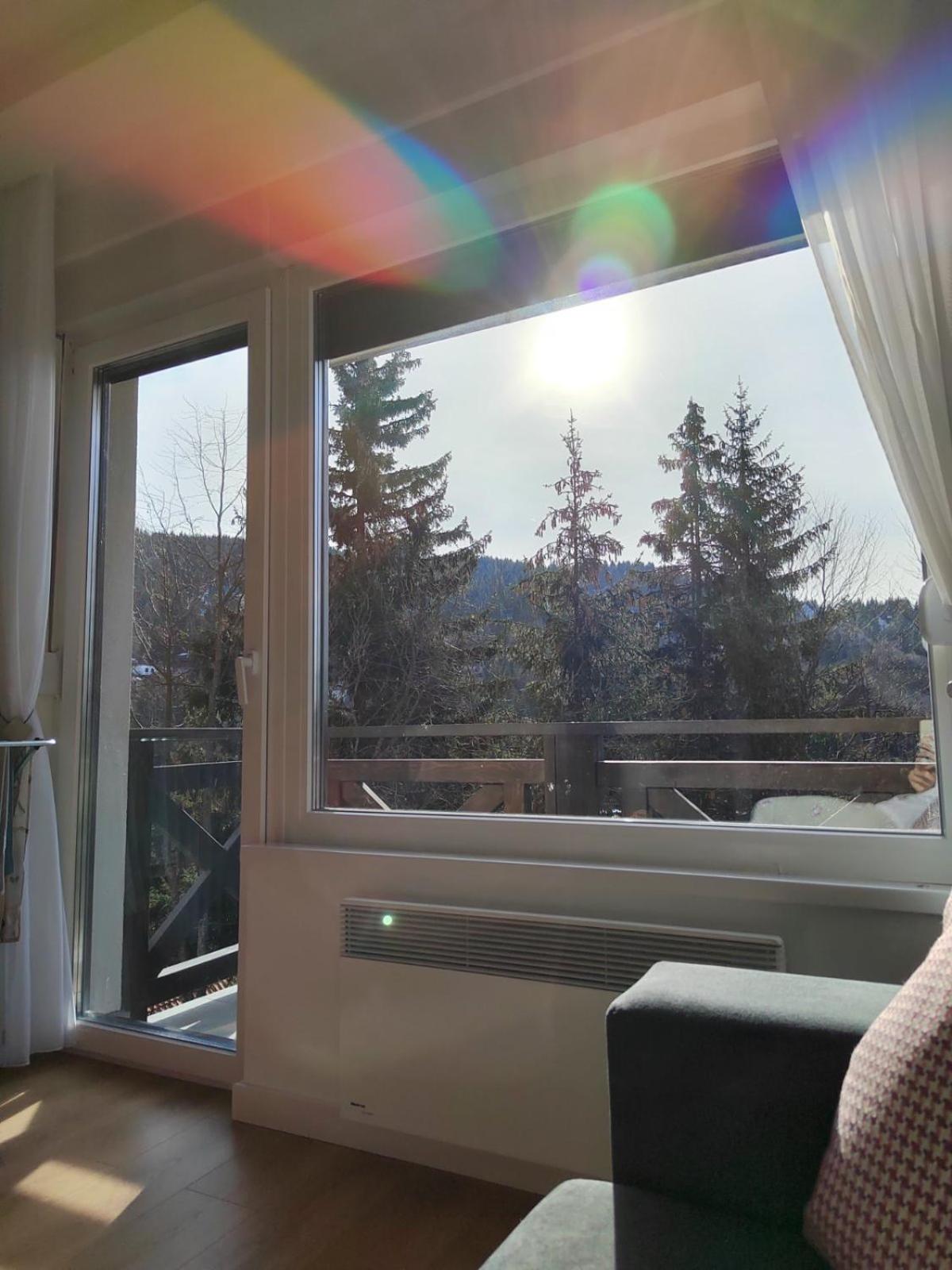 Apartman Dve Skije, Apartmani Šišarka view 4
