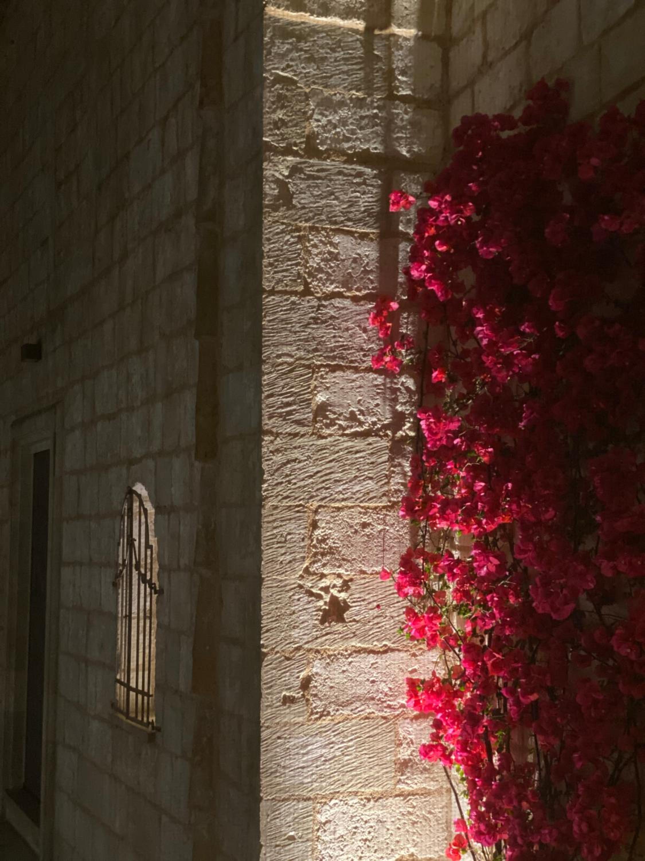 Photo 33