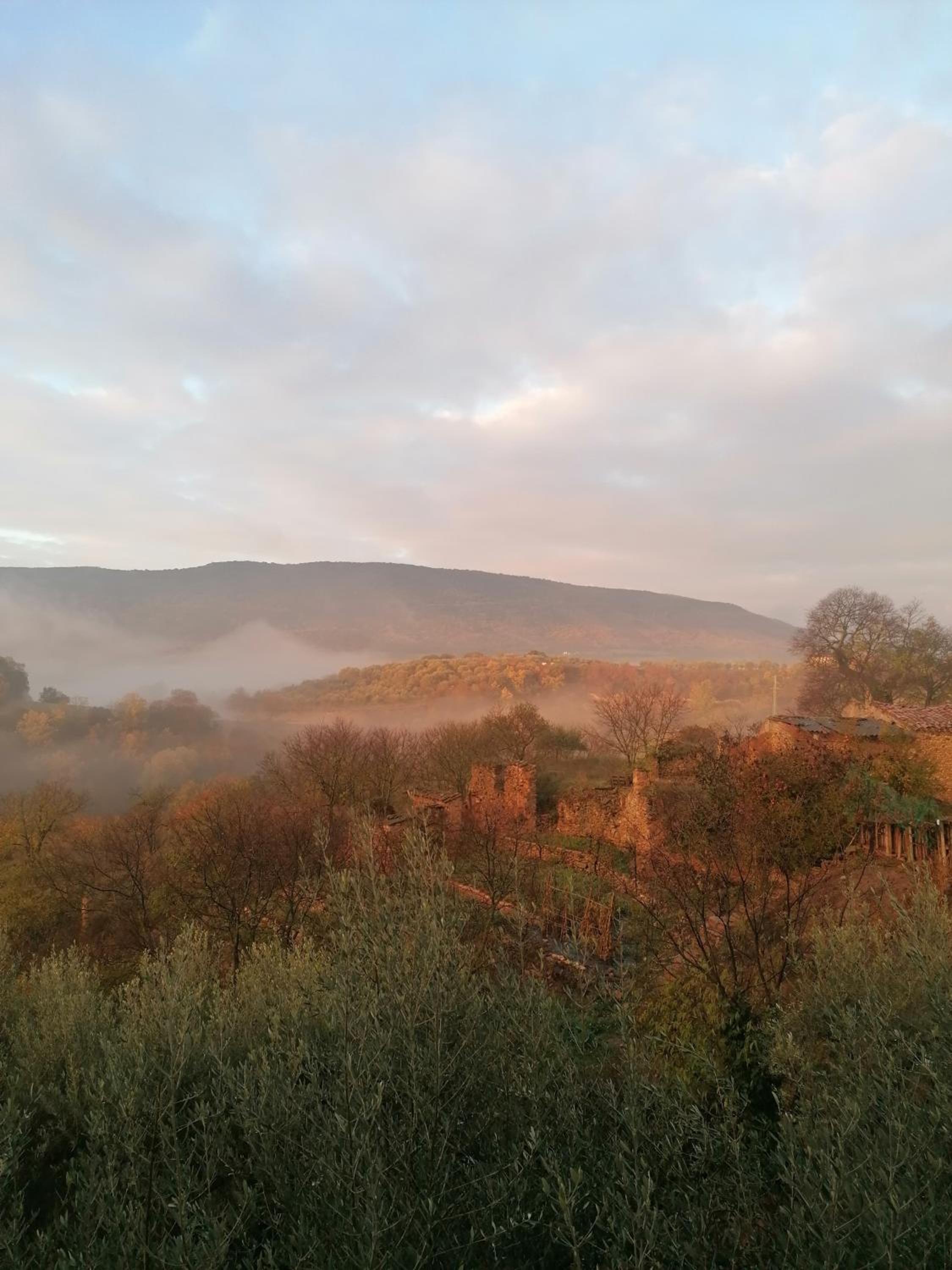 El Freginal view 2