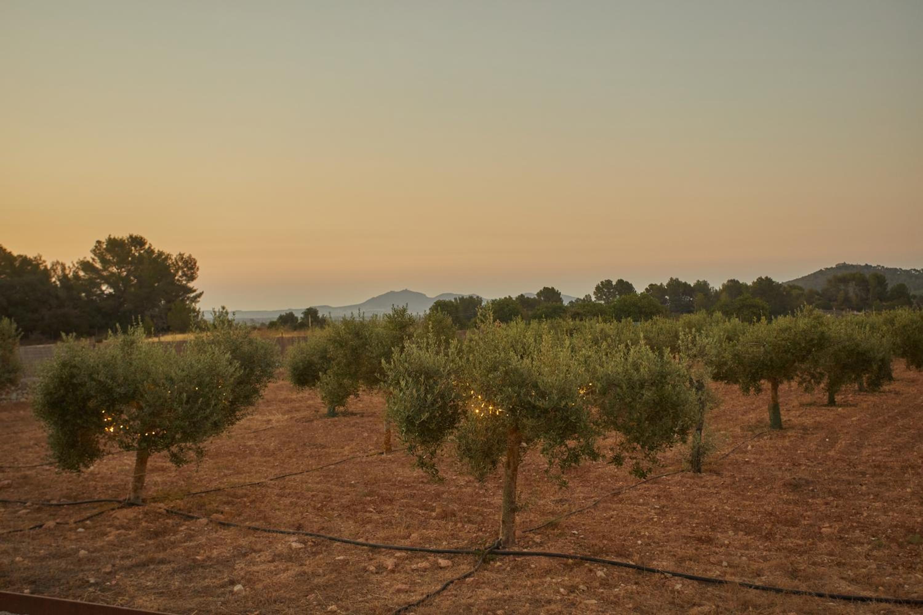 Hotel Rural Es Riquers