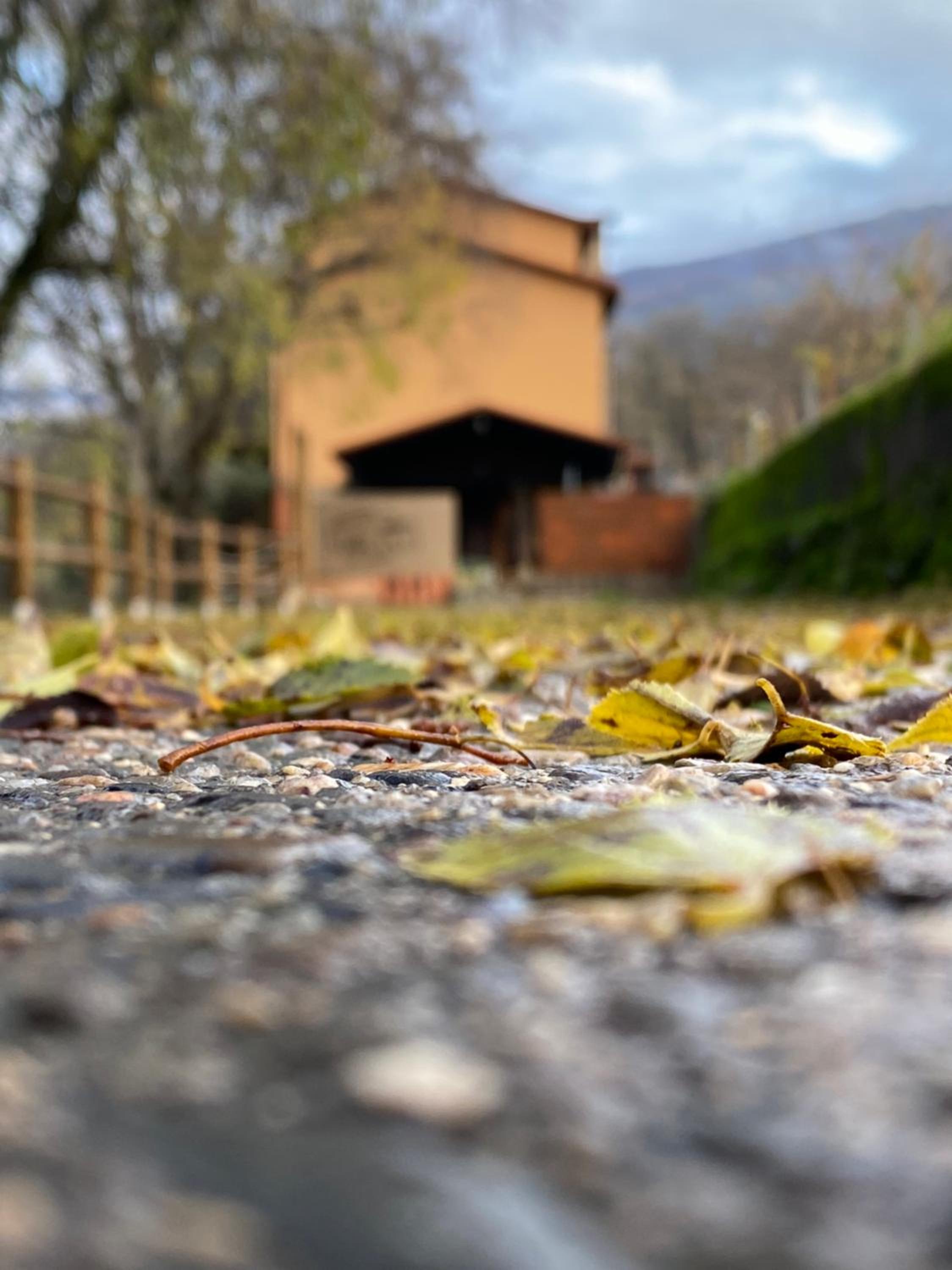 CASA RURAL MOLINO DEL JERTE