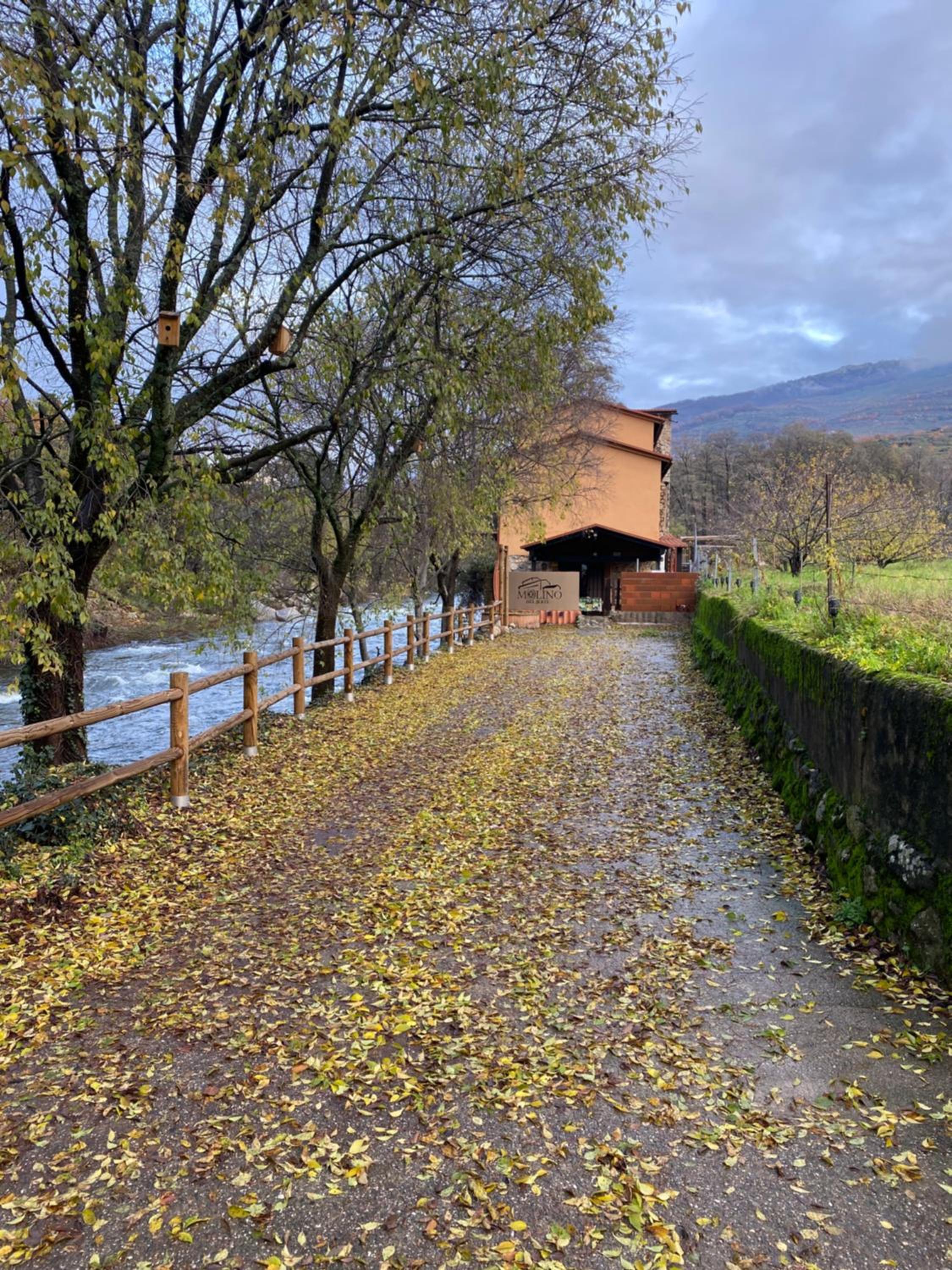 CASA RURAL MOLINO DEL JERTE