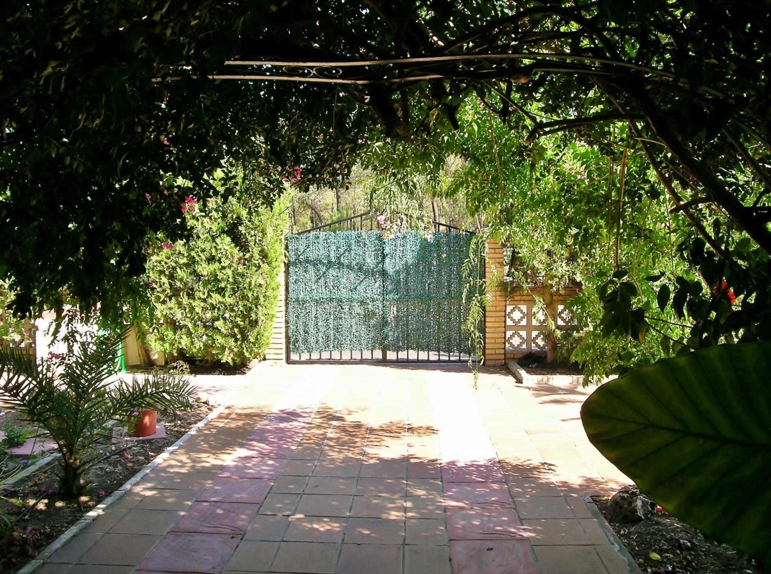 Photo 21