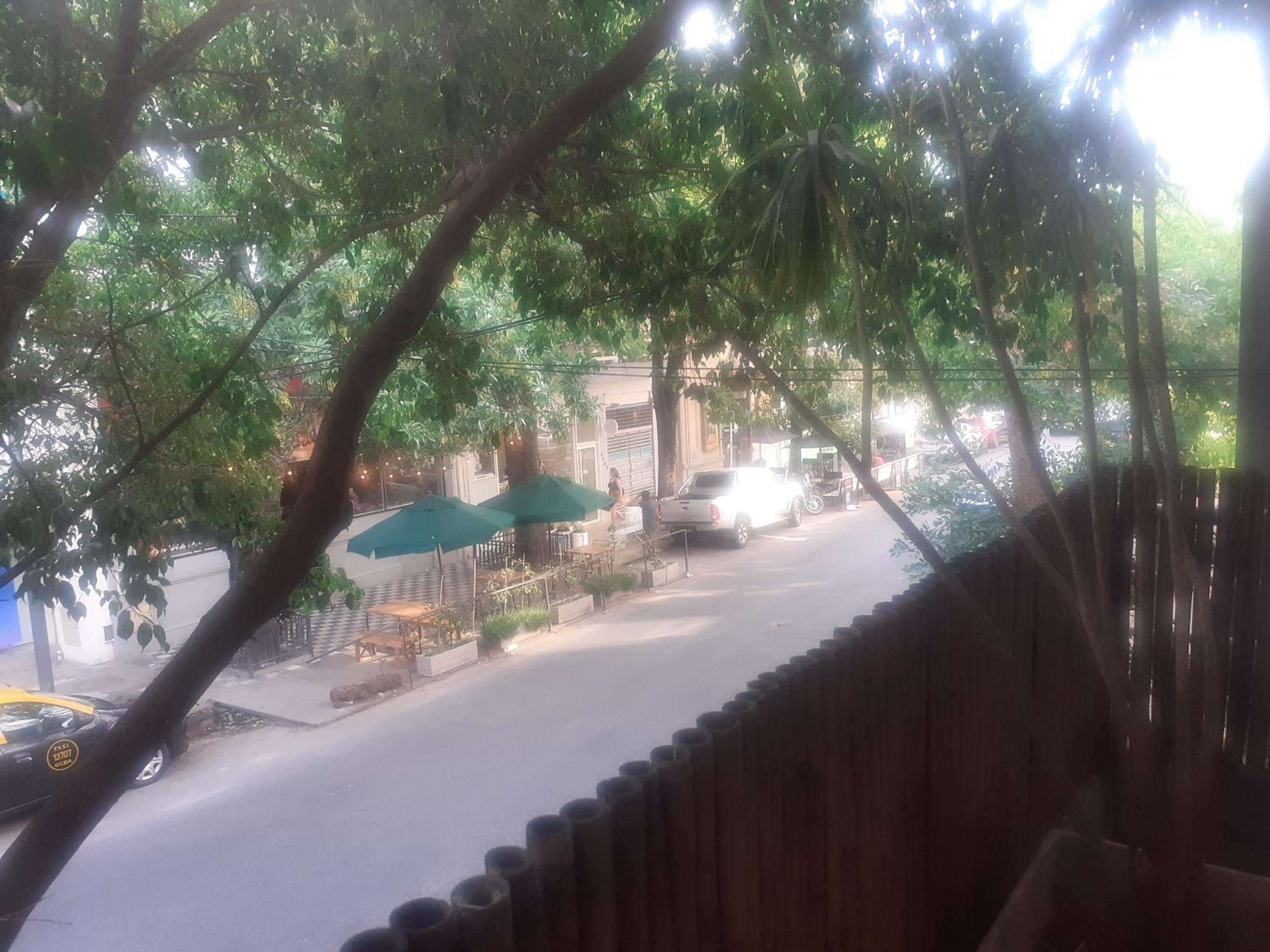 Bambú Soho