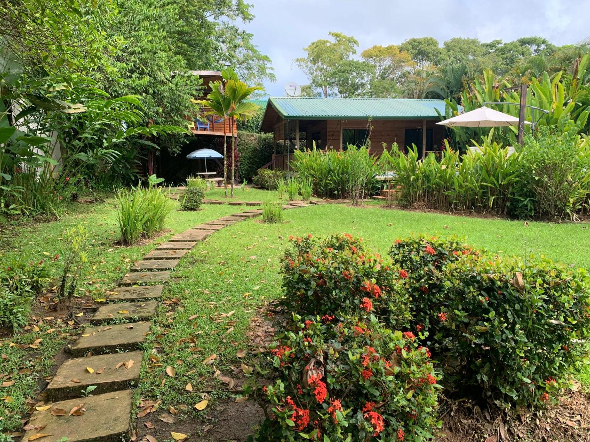 Ocean Melody 2