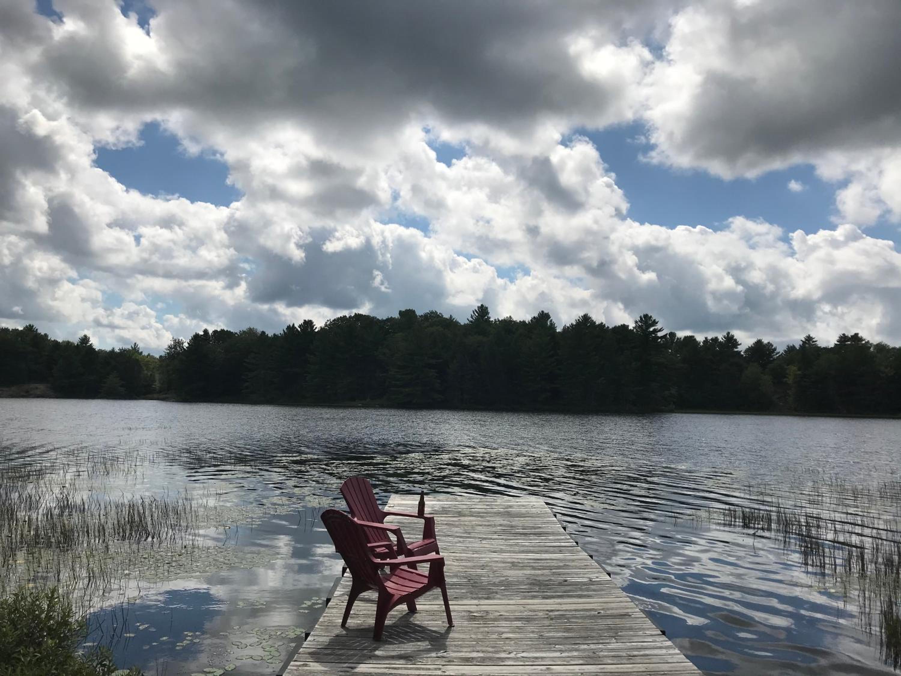 Perfect 3 bedroom waterfront muskoka cottage