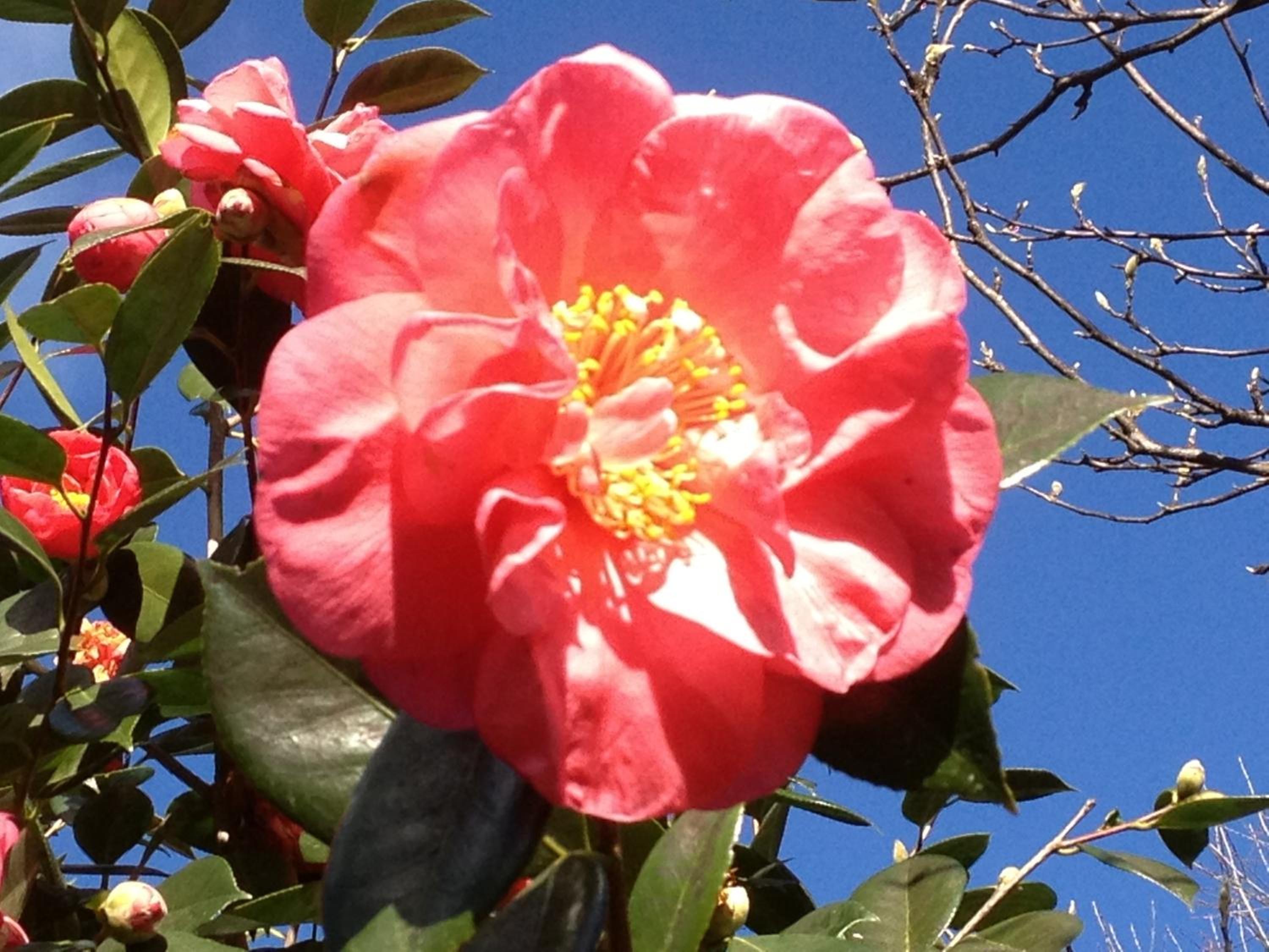 Photo 48