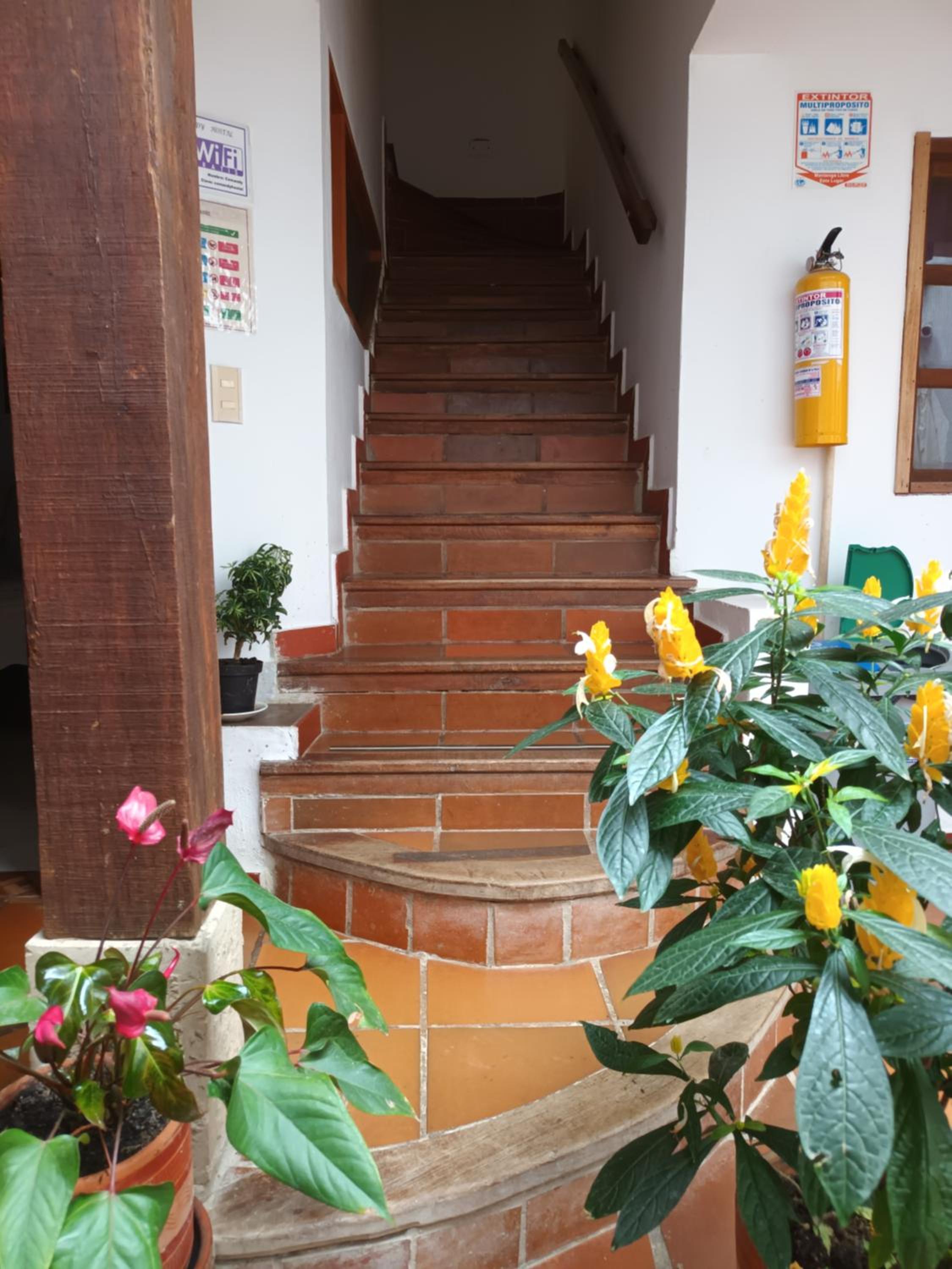 Cemandy Hostal