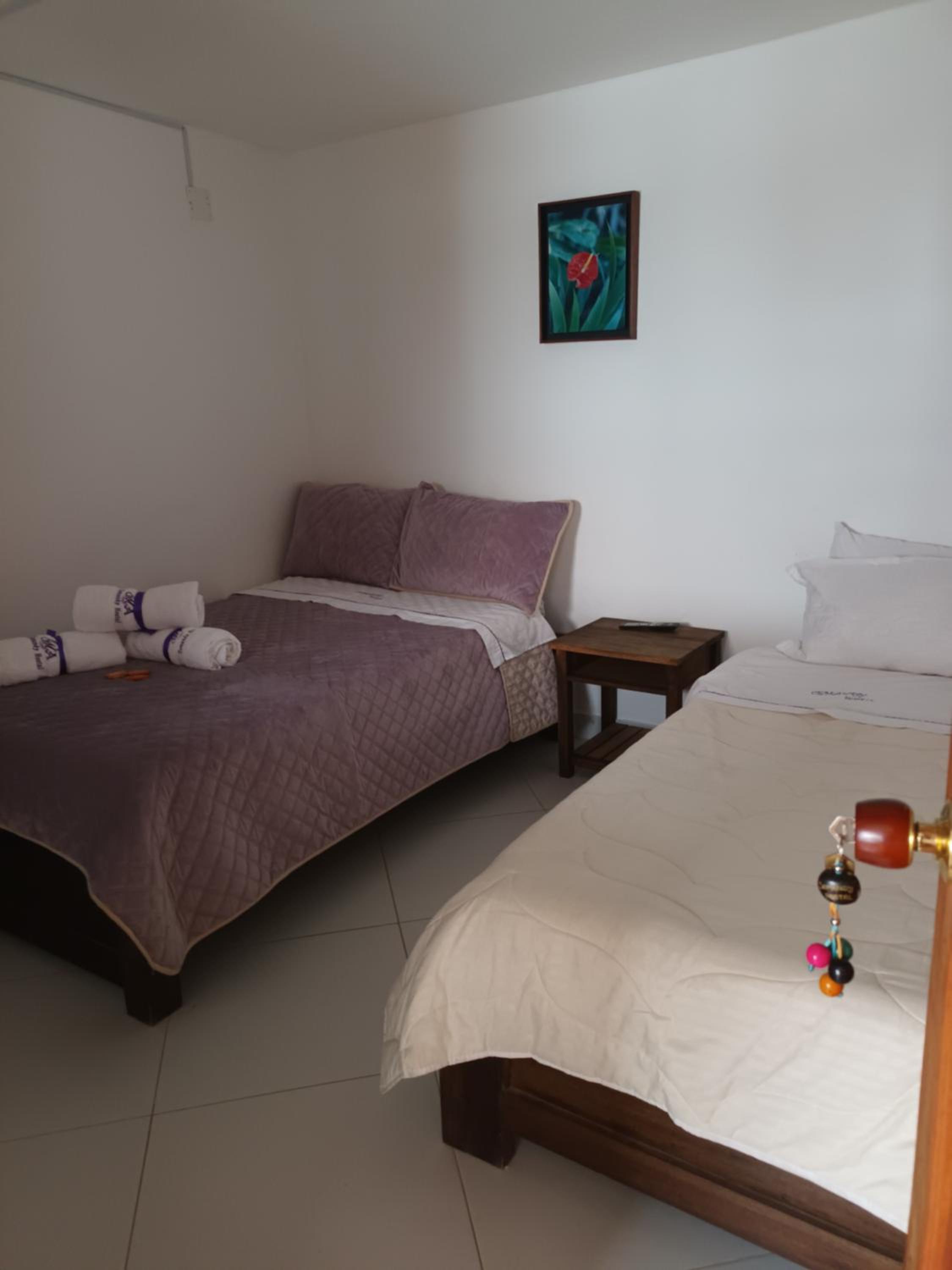 Cemandy Hostal