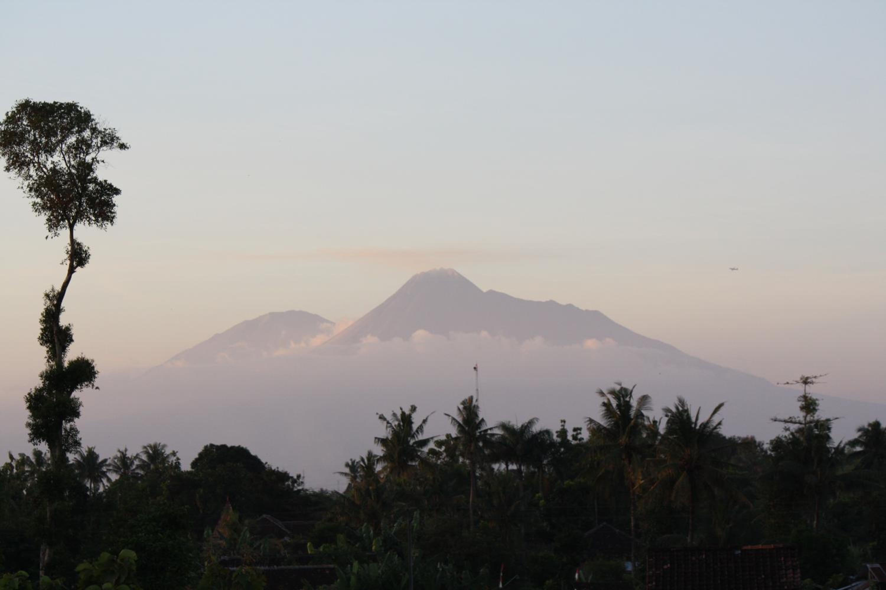 Ada Waktu Homestay