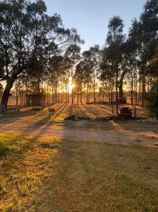 Las Palmas Hunter Valley Estate, 11m Pool, Kangaroos, Fire Pit, Playground