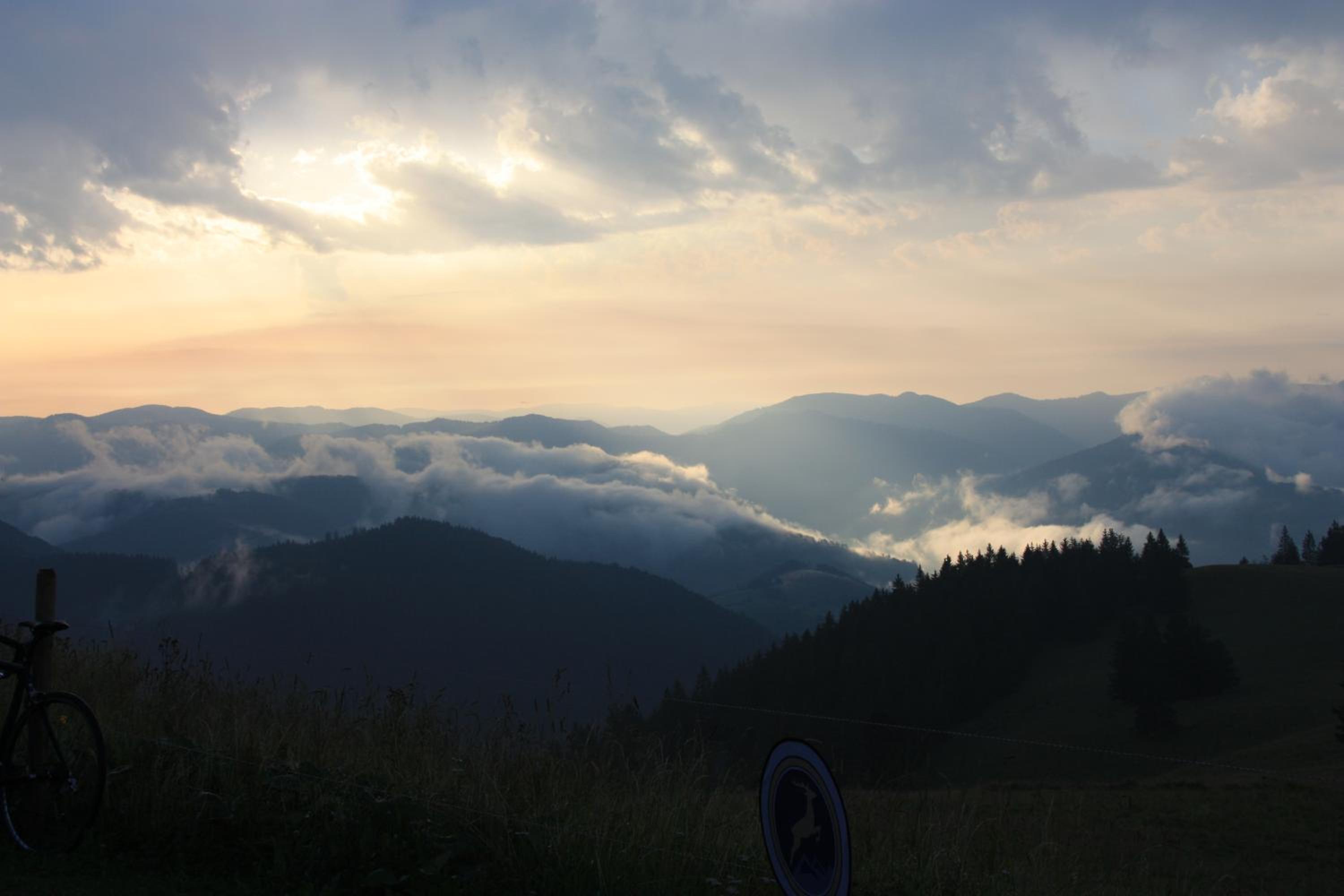 Fewo-Barbara-Rust view 2