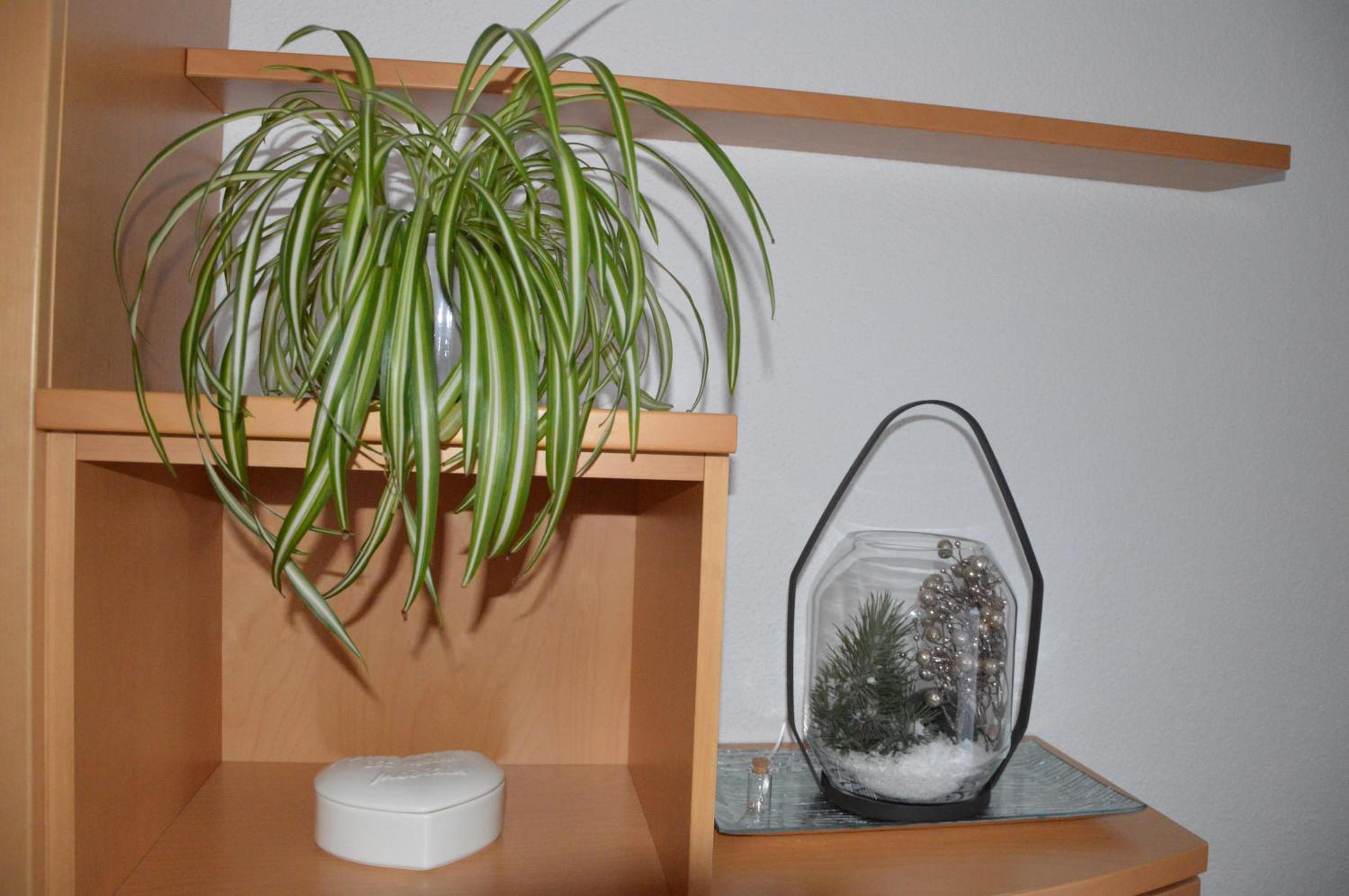 Ferienwohnung Streng