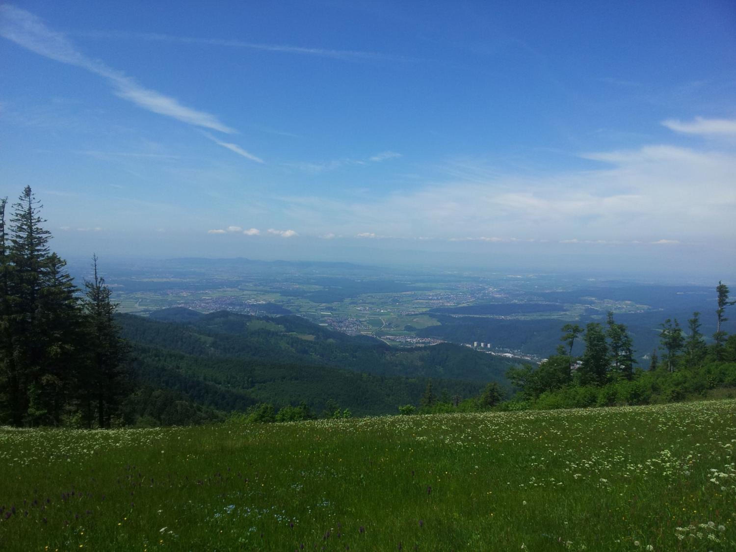 Fewo-Barbara-Rust view 3