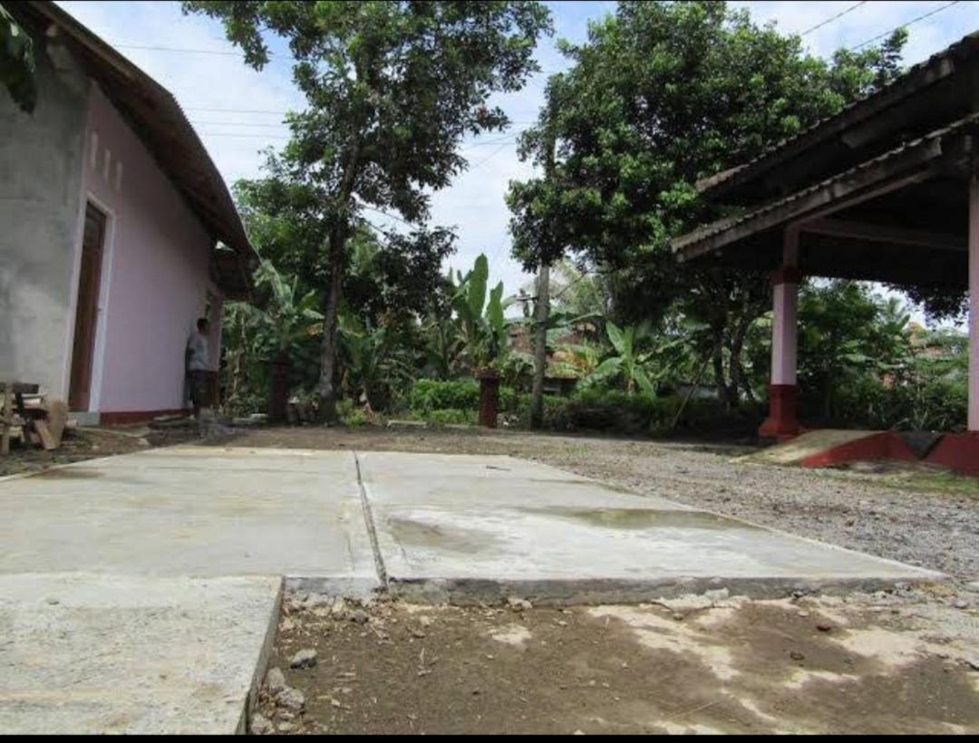 Photo 9