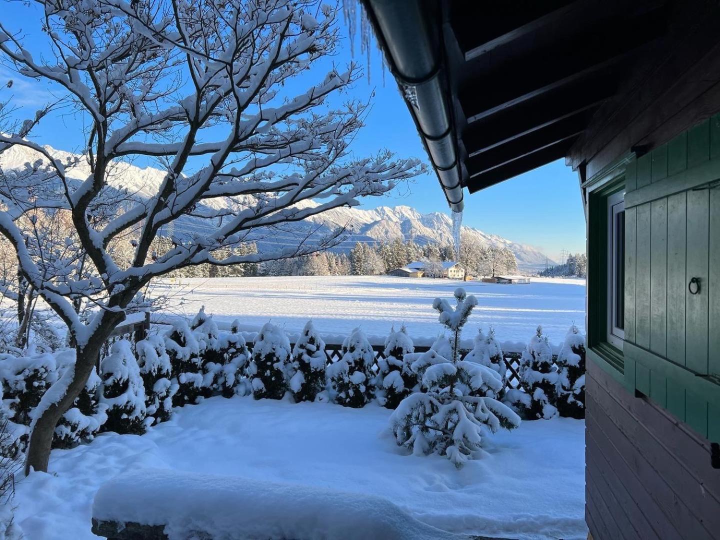 Waldchalet am Eichhof view 5