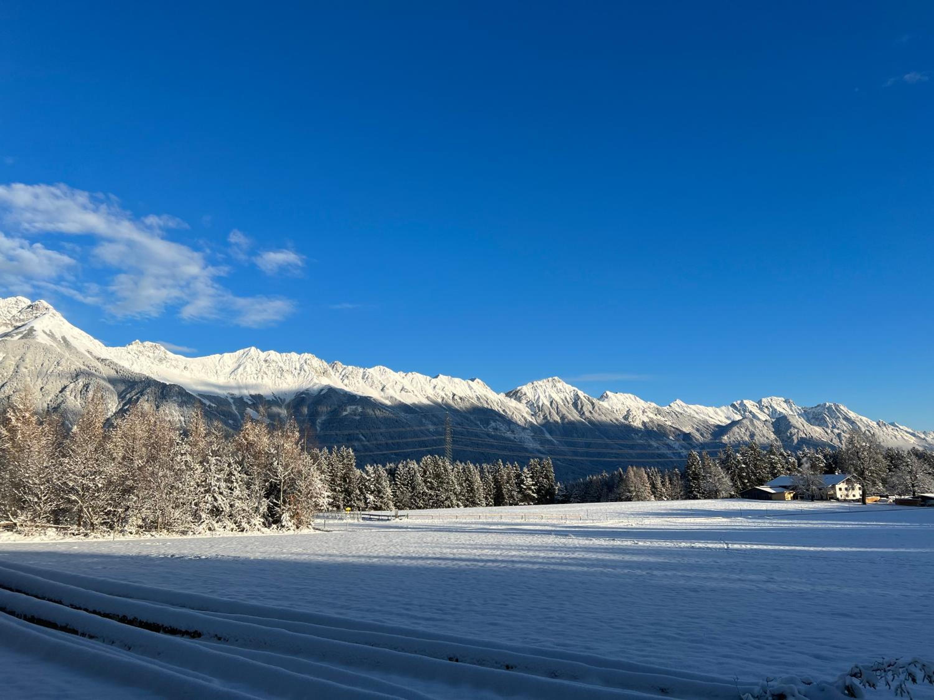 Waldchalet am Eichhof view 3