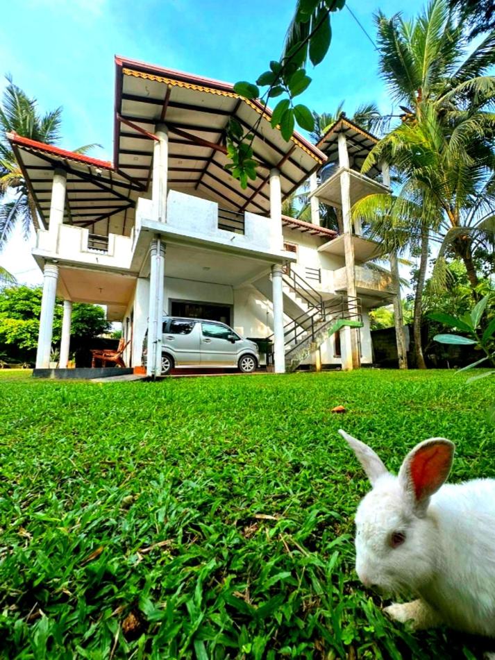 Royal beach villa view 4